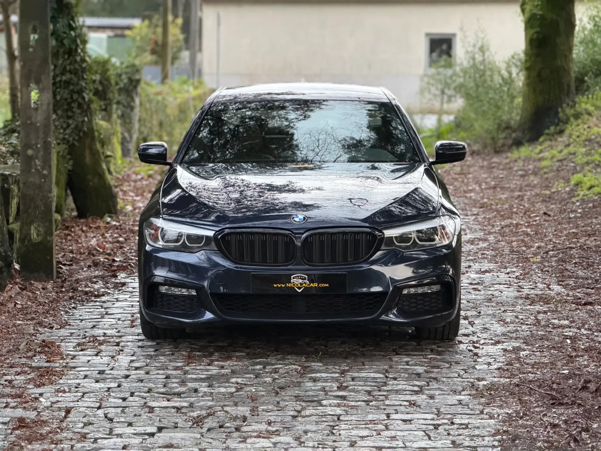 BMW 520 d Pack M Auto 32