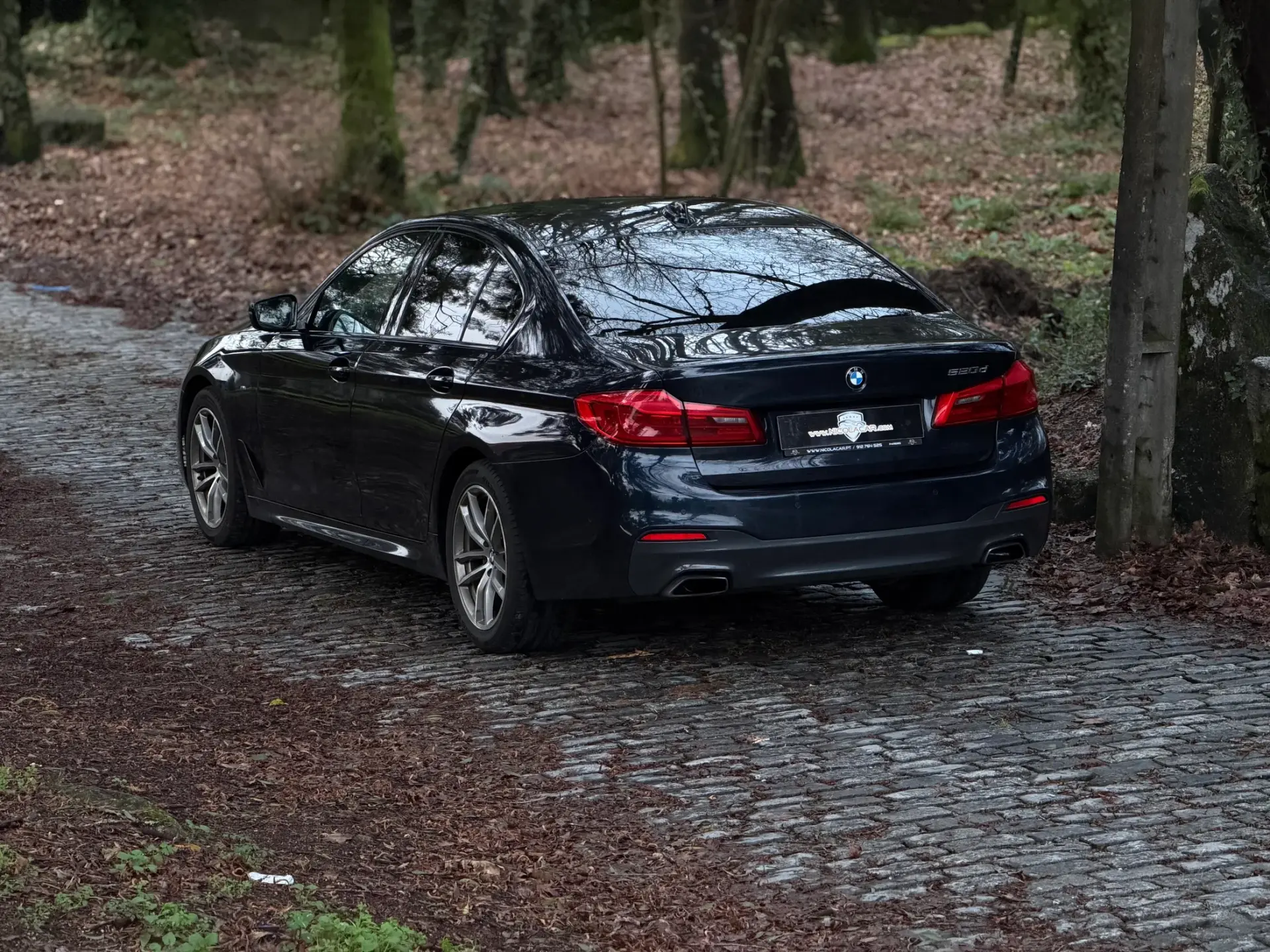 BMW 520 d Pack M Auto 33