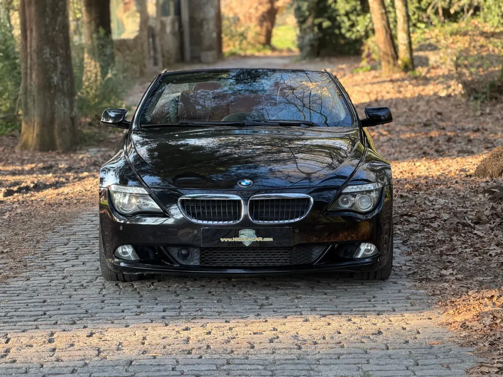BMW 635 d 41