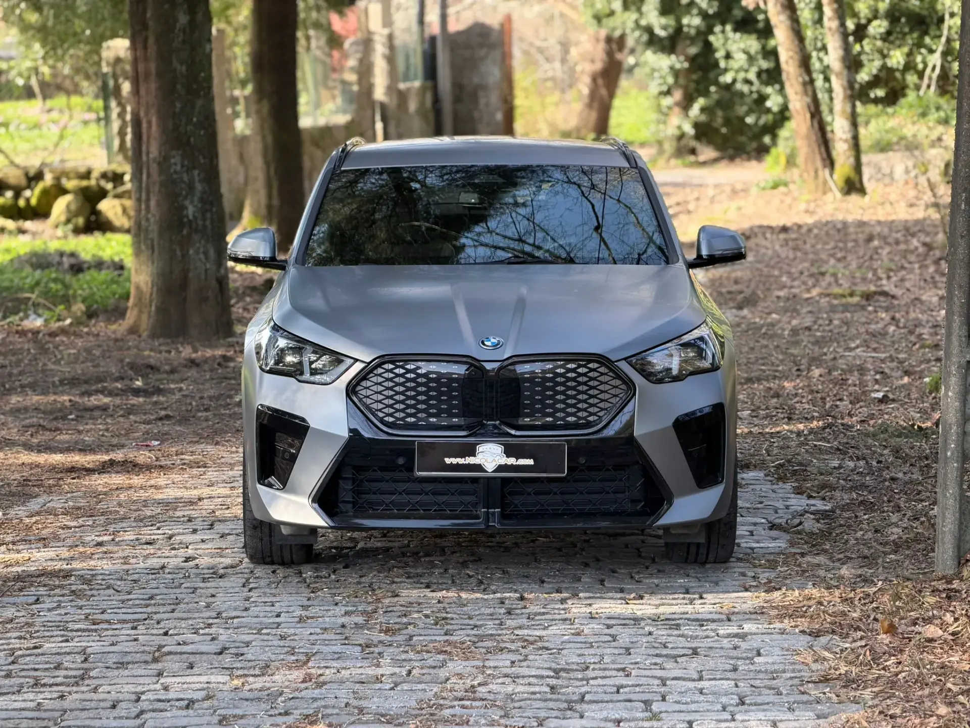 BMW iX2 xDrive30 Pack Desportivo M Pro 2