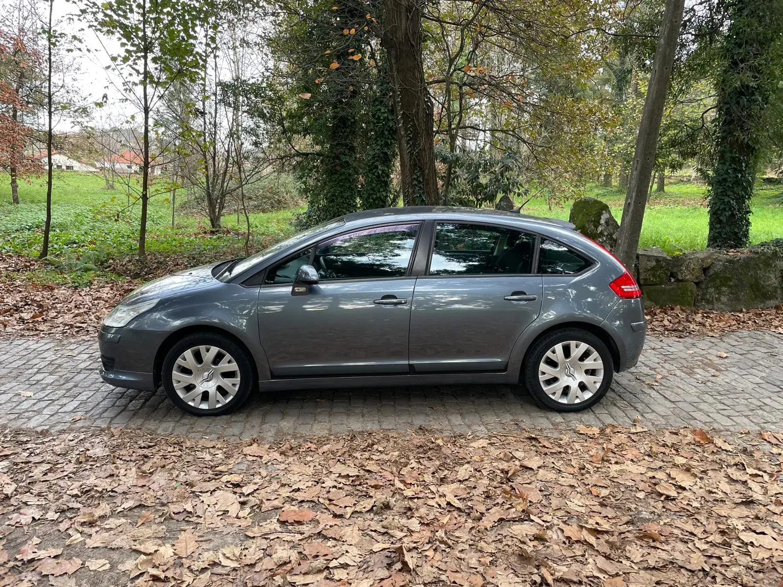 Citroen C4 1.6 HDi 110 Exclusive 5