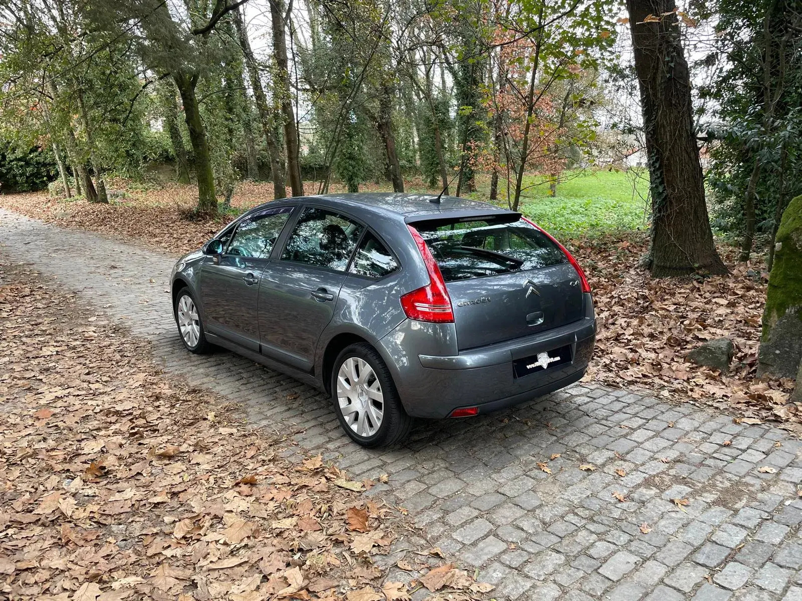 Citroen C4 1.6 HDi 110 Exclusive 14