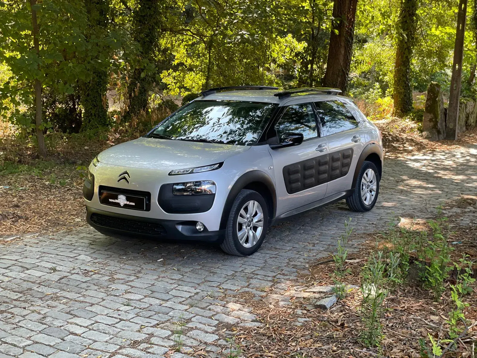 Citroen C4 Cactus 1.6 BlueHDi Feel 4