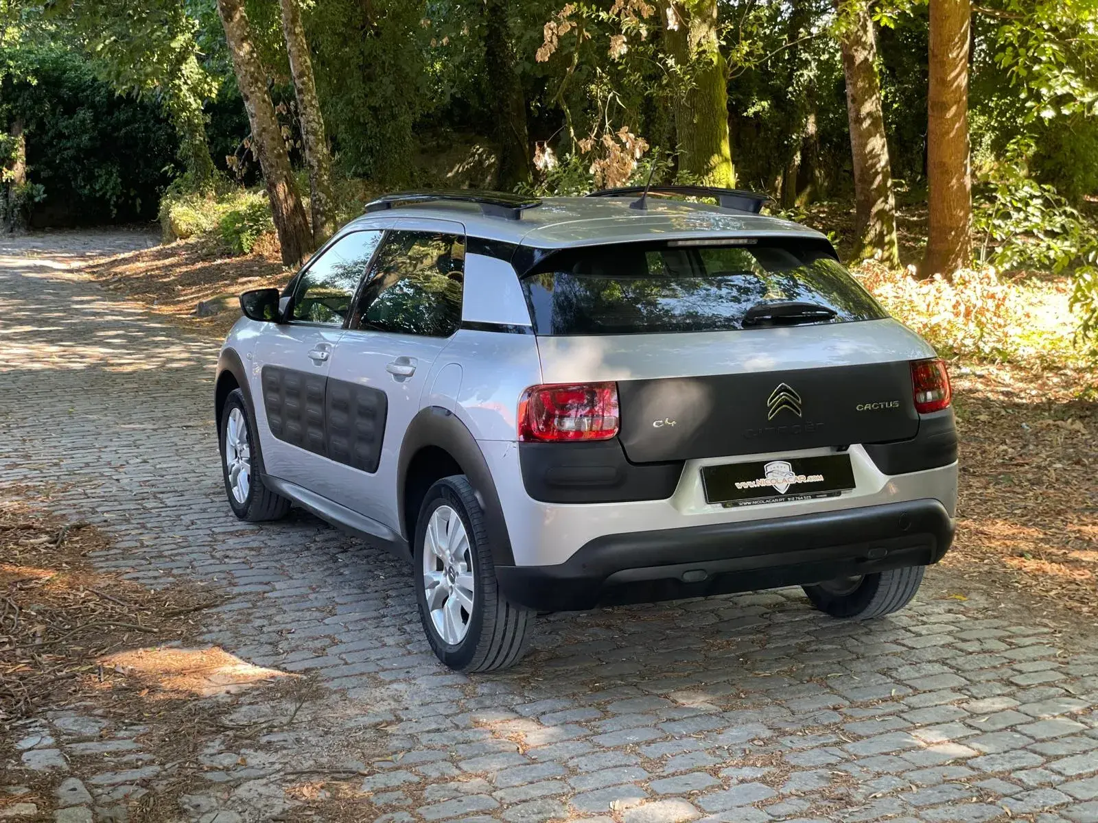 Citroen C4 Cactus 1.6 BlueHDi Feel 5