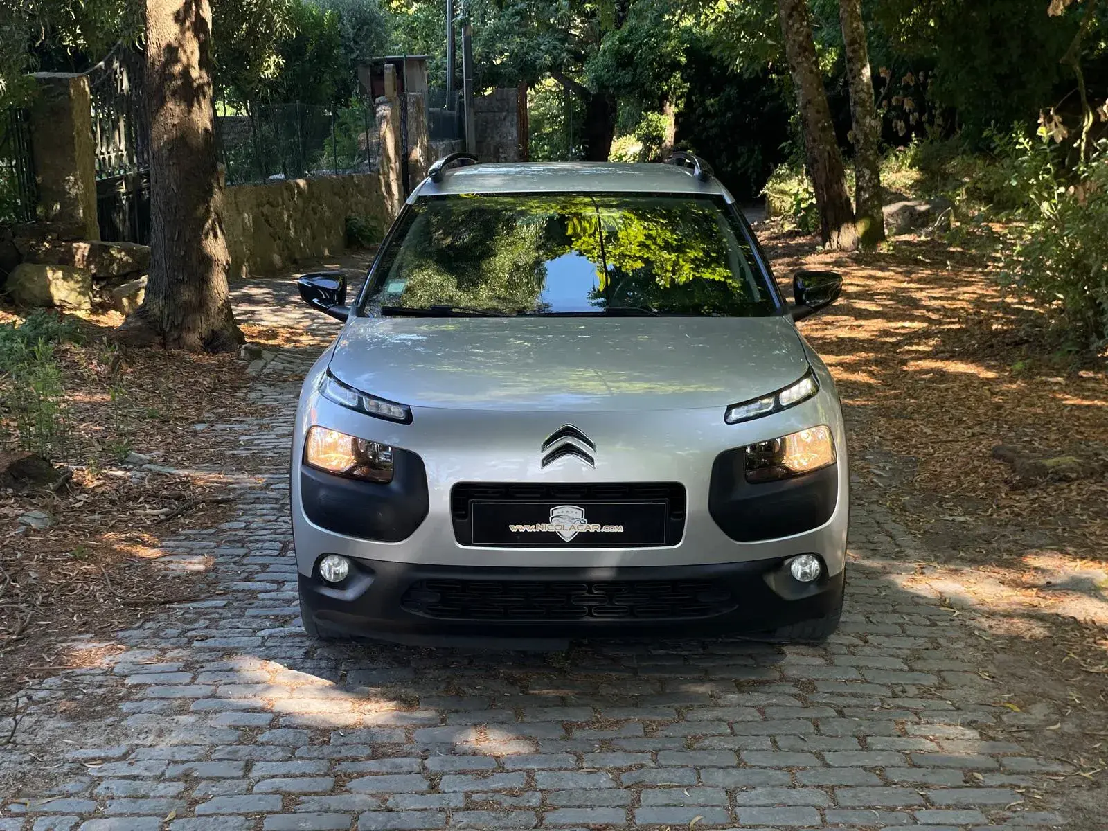 Citroen C4 Cactus 1.6 BlueHDi Feel 30