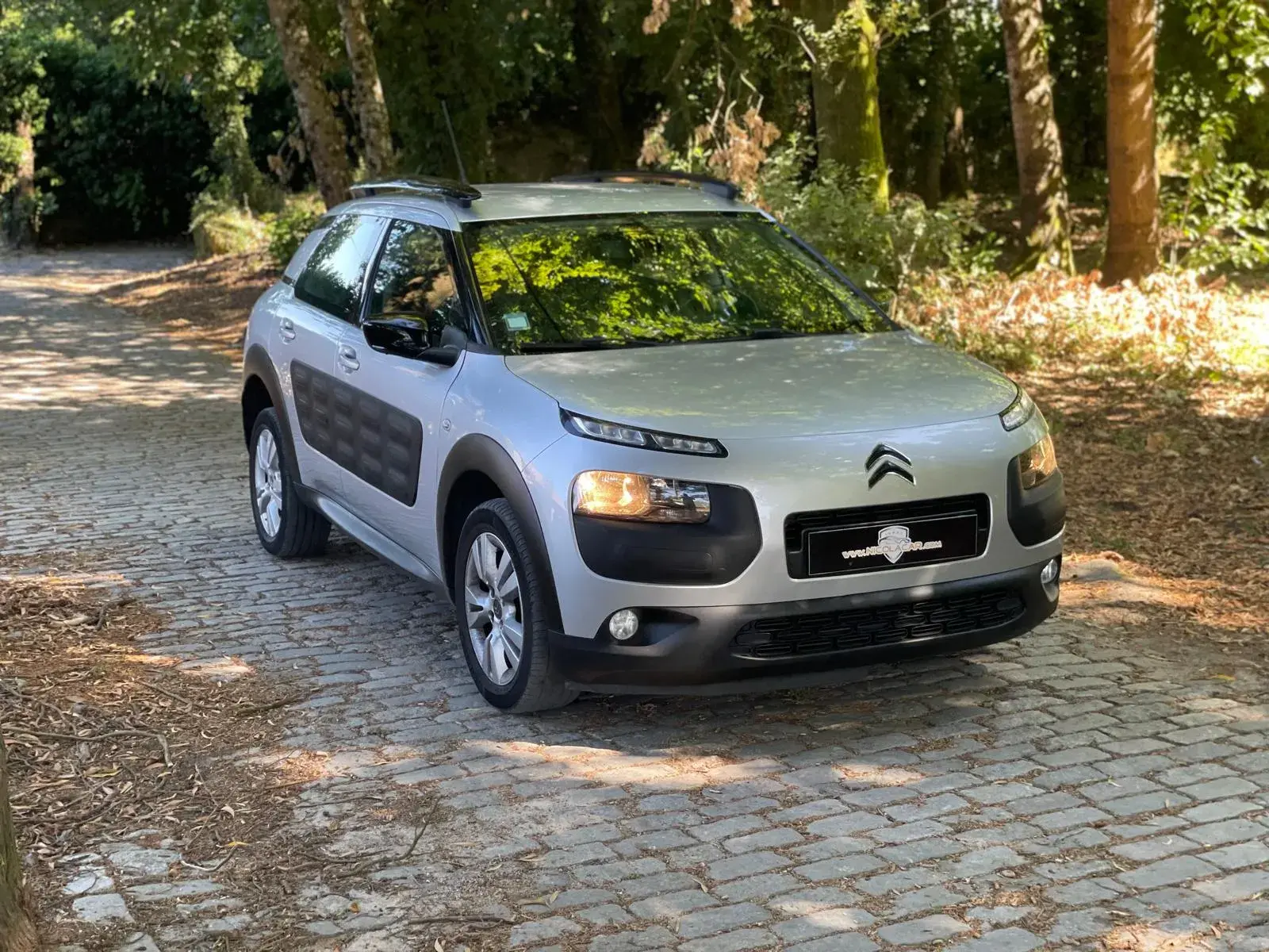 Citroen C4 Cactus 1.6 BlueHDi Feel 31
