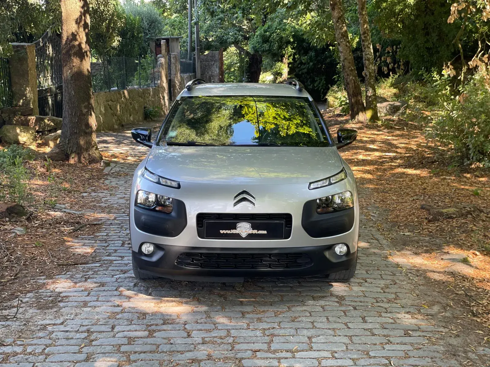 Citroen C4 Cactus 1.6 BlueHDi Feel 33