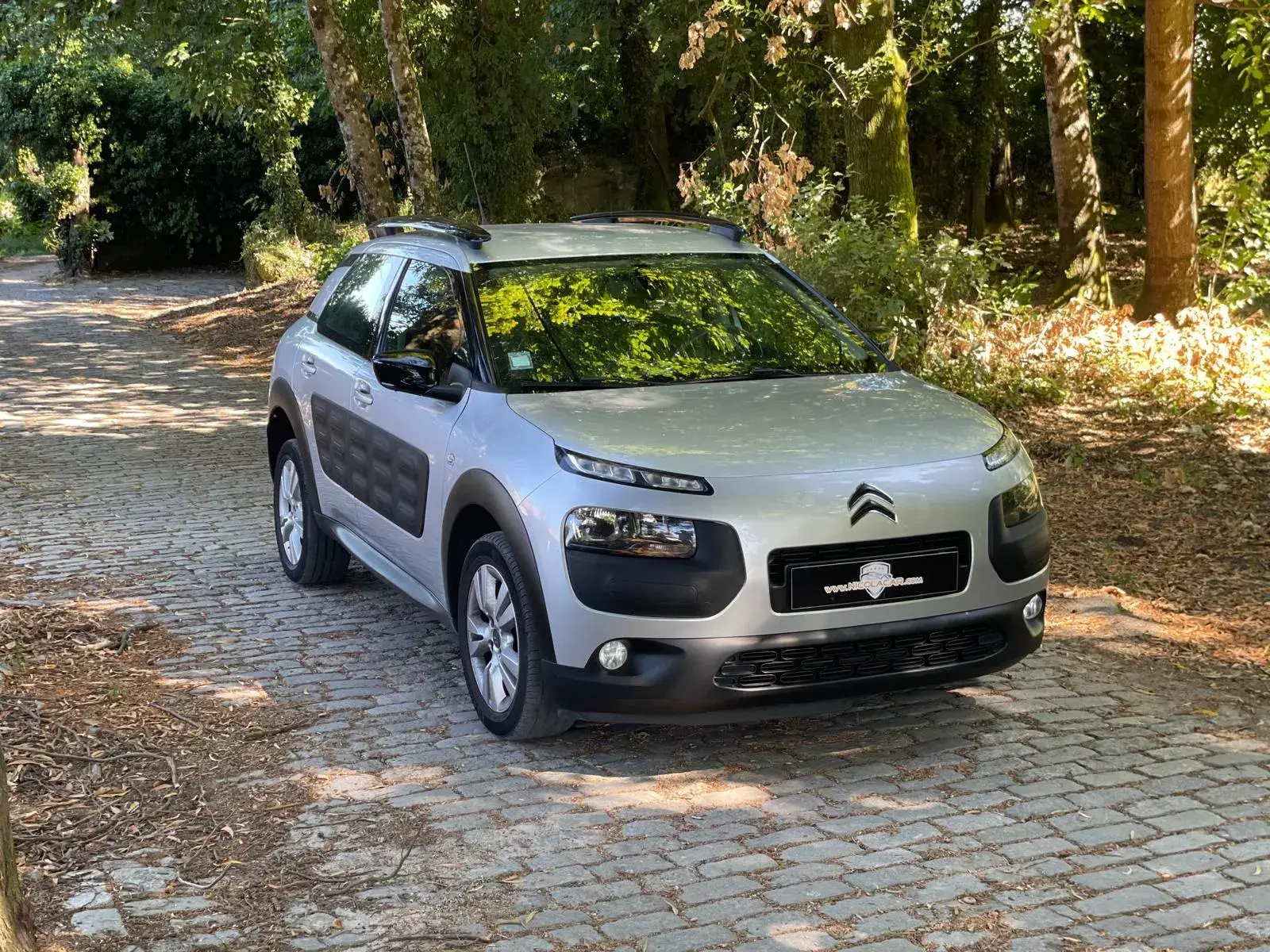Citroen C4 Cactus 1.6 BlueHDi Feel 34