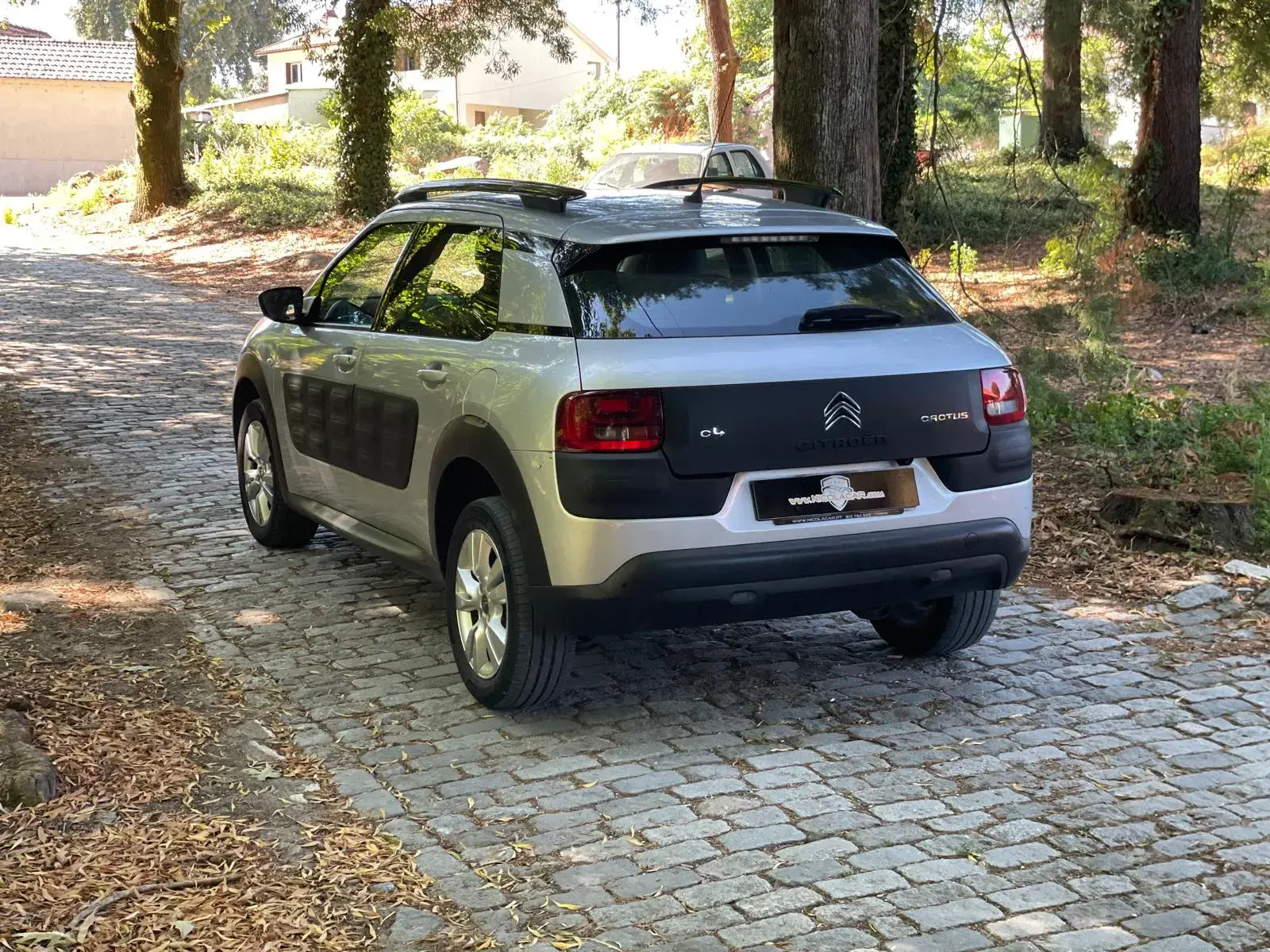 Citroen C4 Cactus 1.6 BlueHDi Feel 37