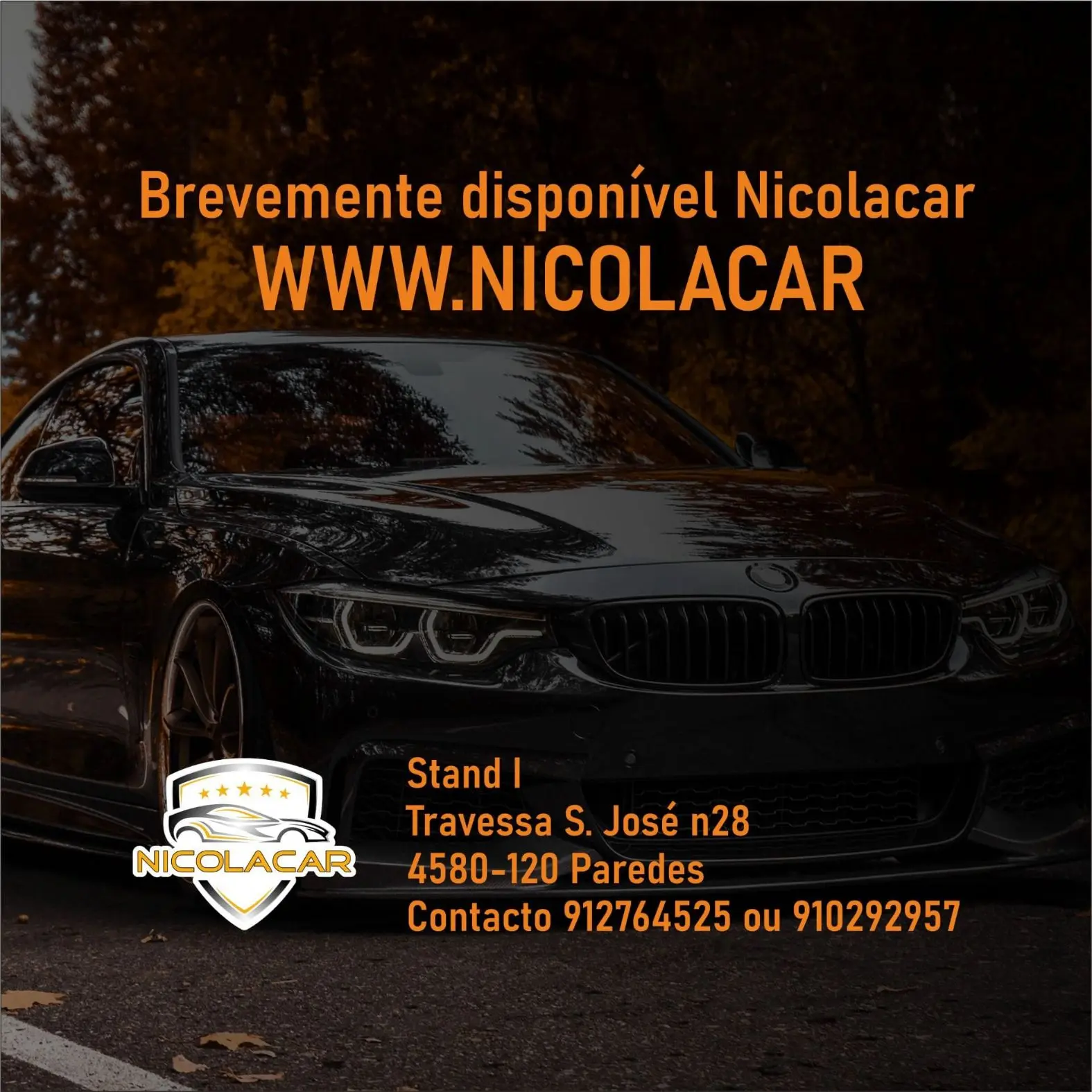 Citroen C5 2.0 HDi Exclusive 1