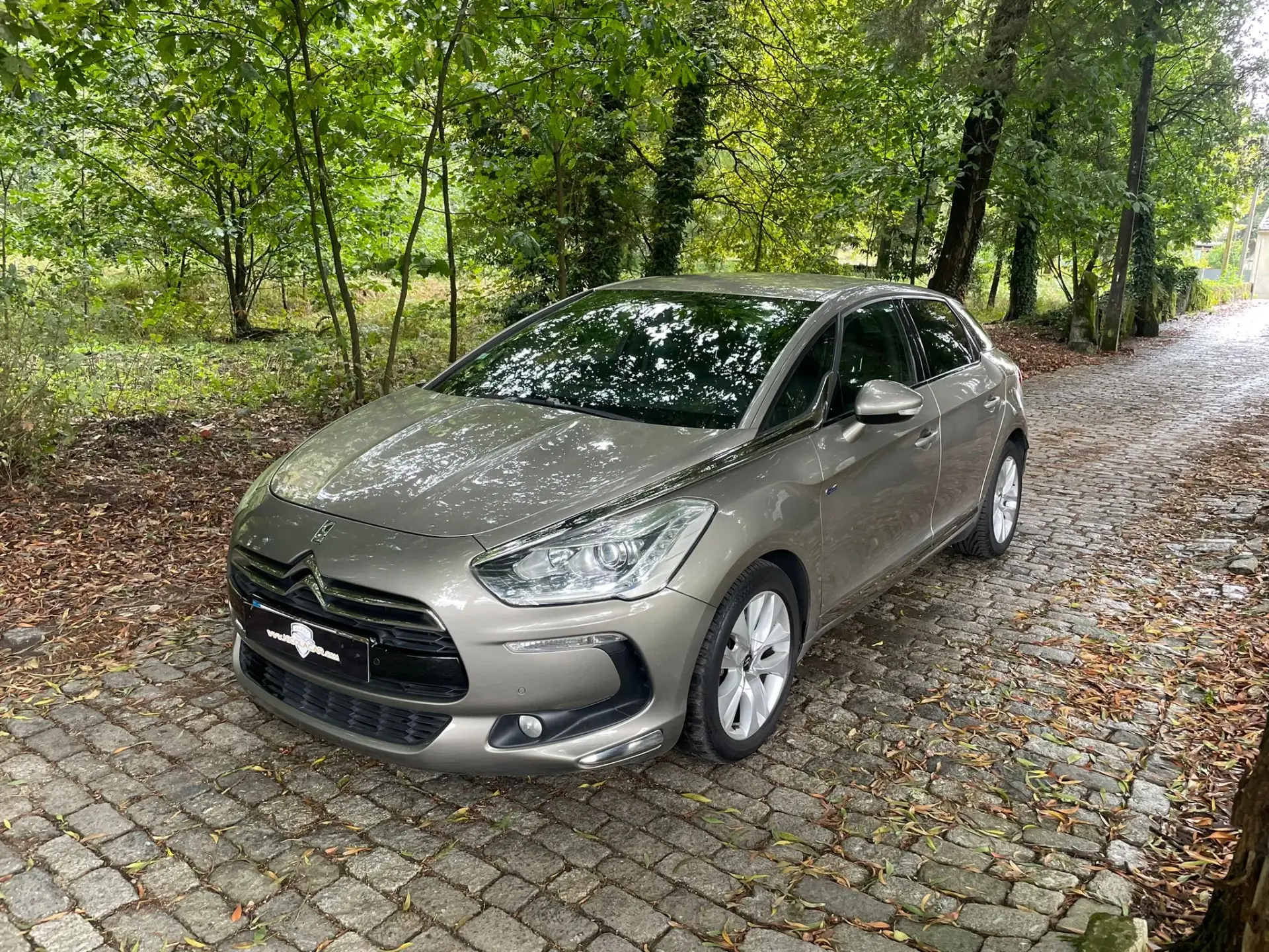 Citroen DS5 2.0 HDi Hy4 So Chic CMP6 102g 5