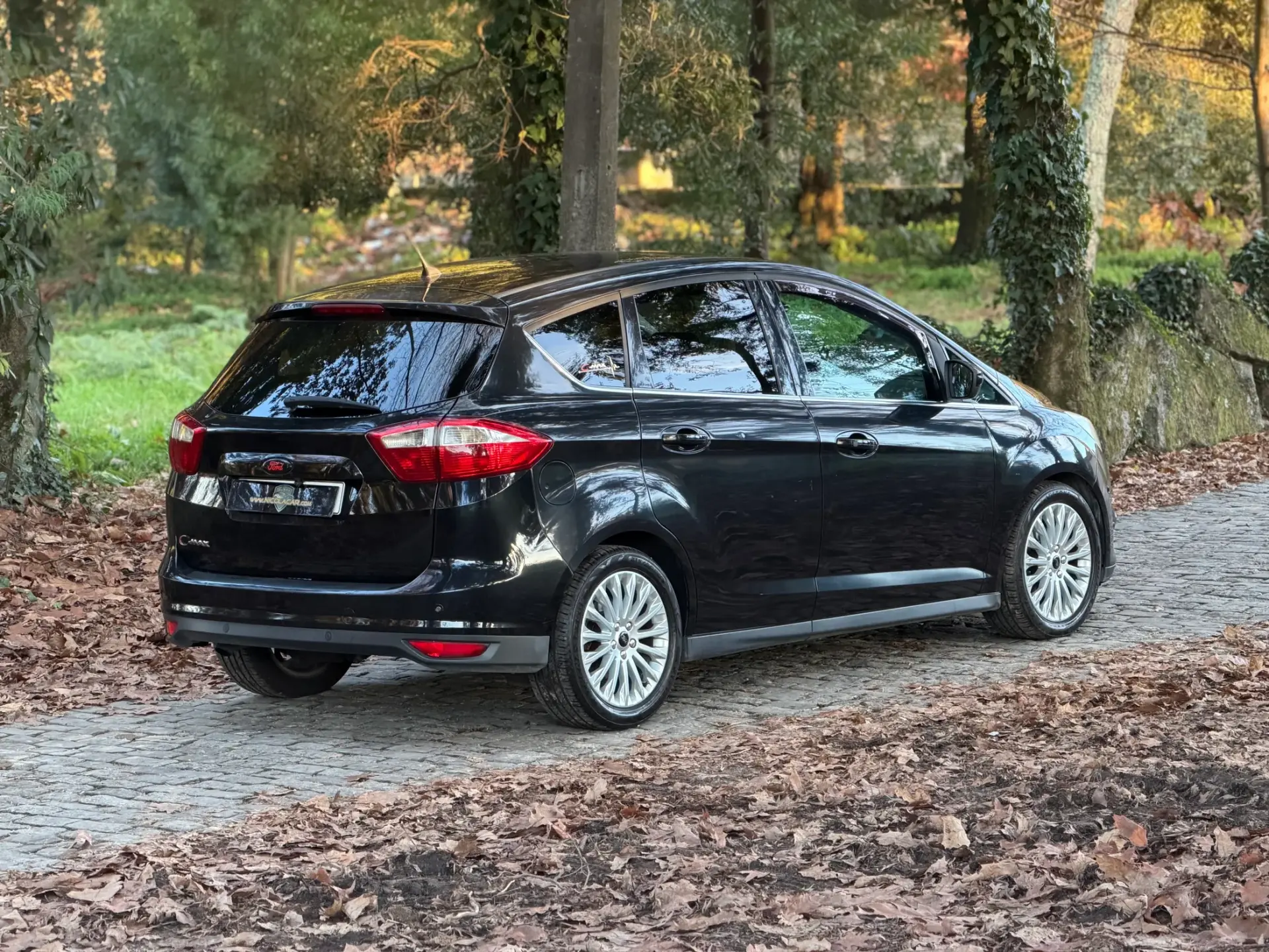 Ford C-Max 1.5 TDCi Titanium S/S 6