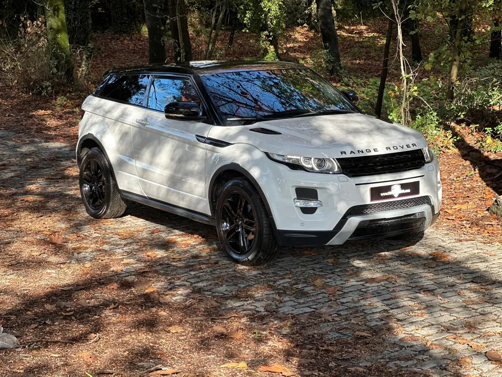 Land Rover Range Rover Evoque Coupe TD4 Aut. Dynamic 2