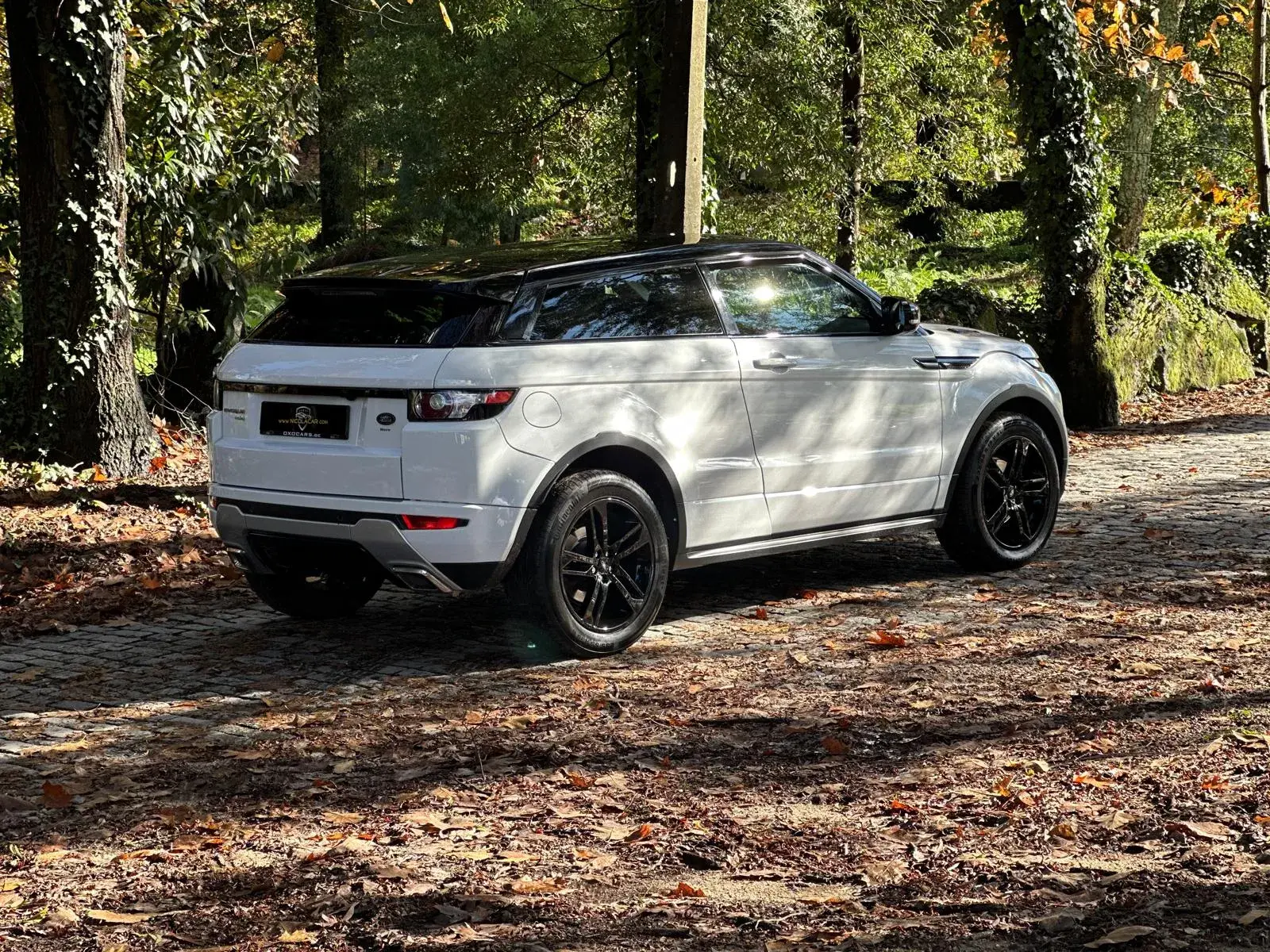 Land Rover Range Rover Evoque Coupe TD4 Aut. Dynamic 7