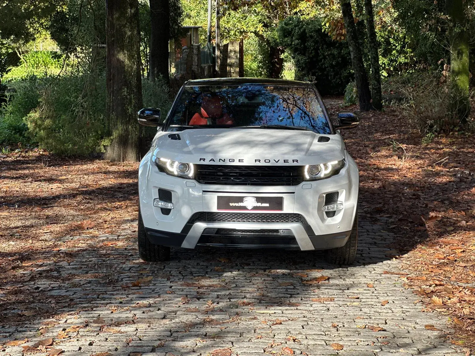 Land Rover Range Rover Evoque Coupe TD4 Aut. Dynamic 3