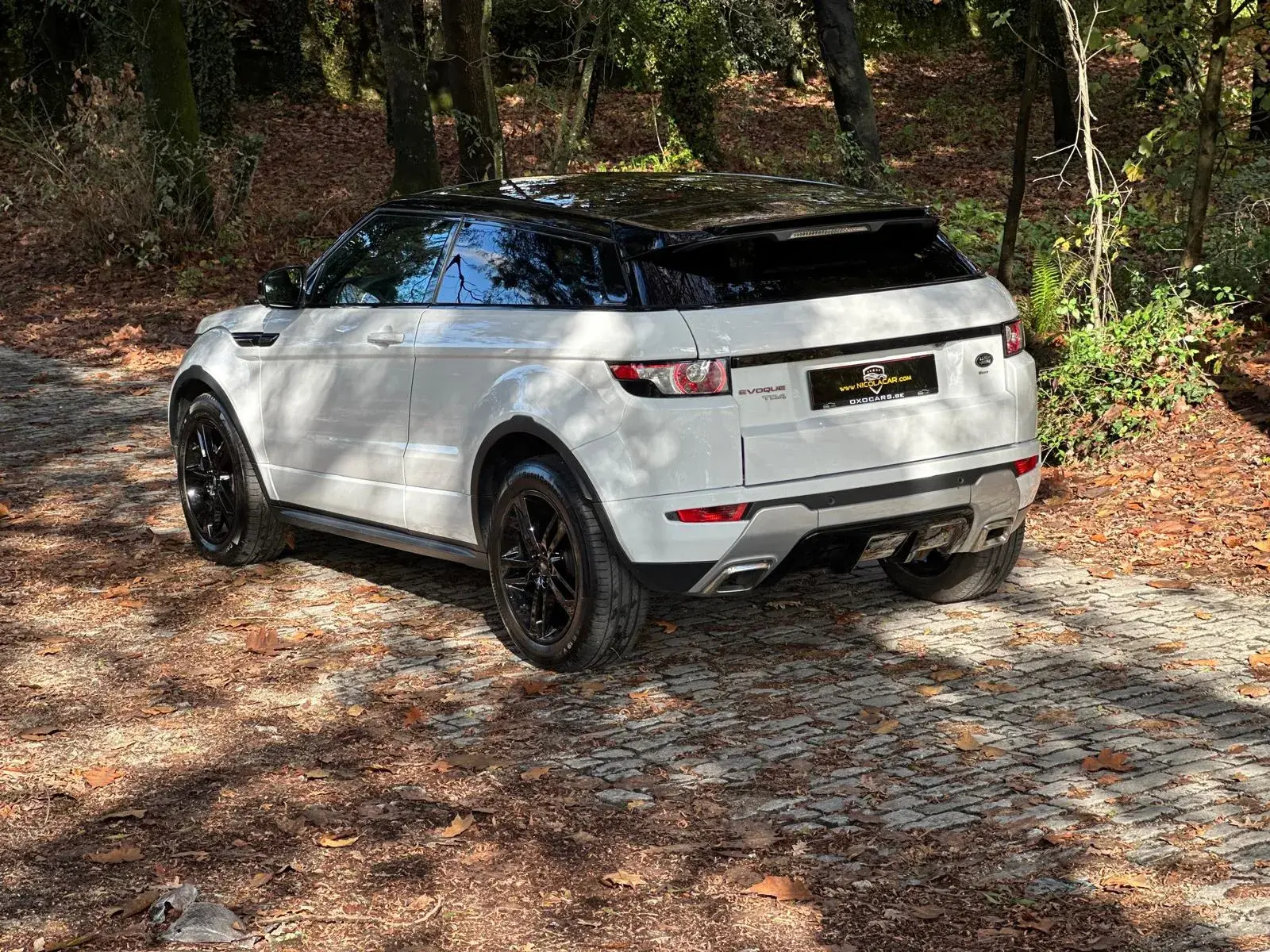 Land Rover Range Rover Evoque Coupe TD4 Aut. Dynamic 5