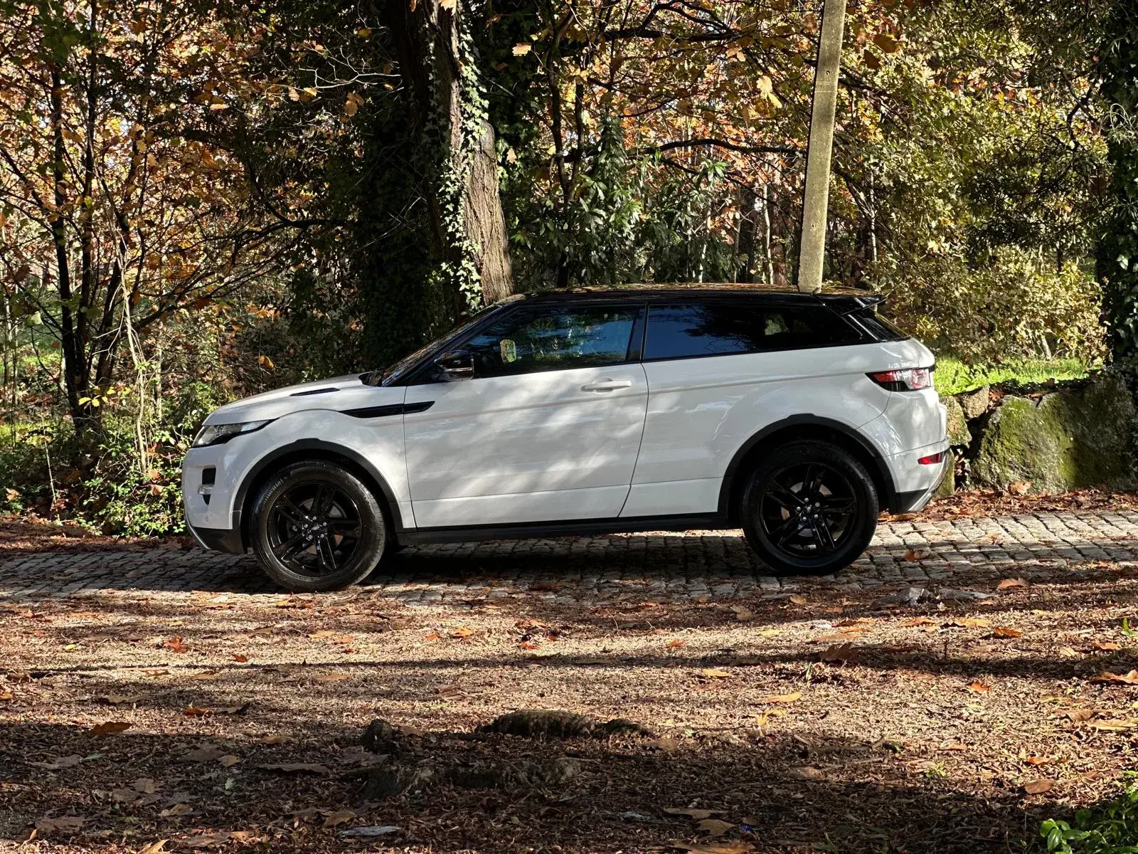 Land Rover Range Rover Evoque Coupe TD4 Aut. Dynamic 8