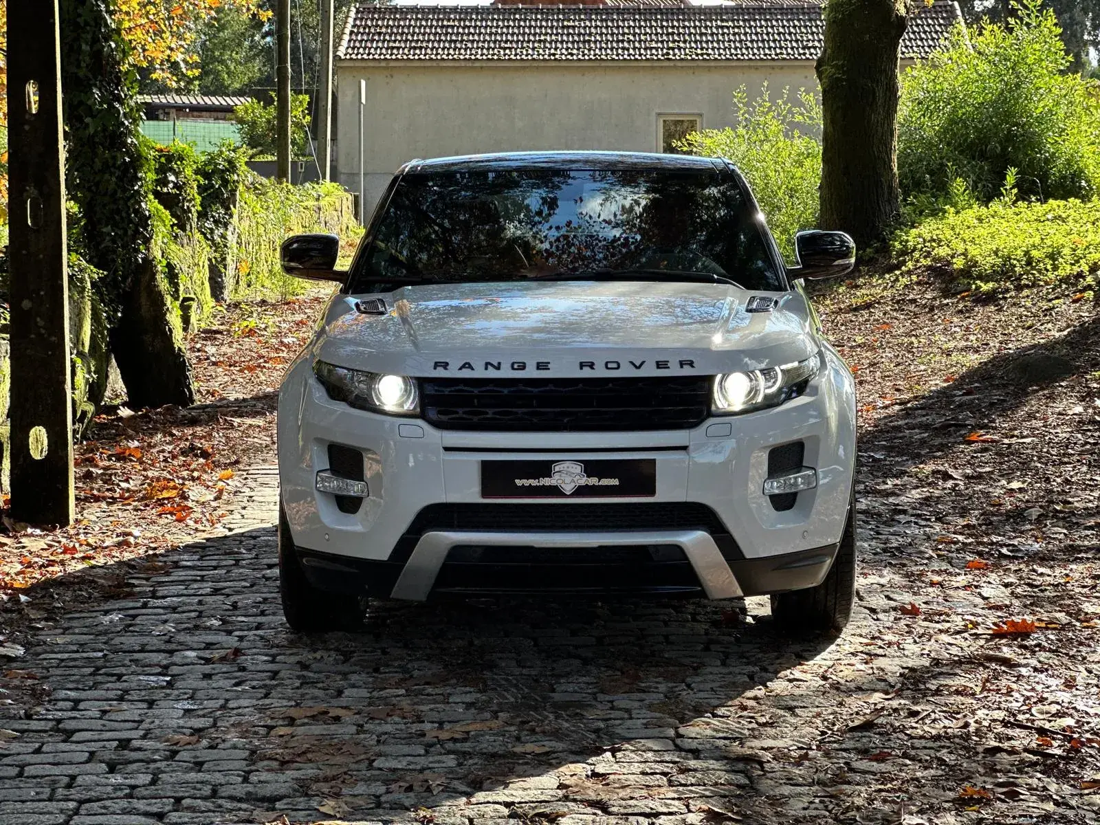 Land Rover Range Rover Evoque Coupe TD4 Aut. Dynamic 31