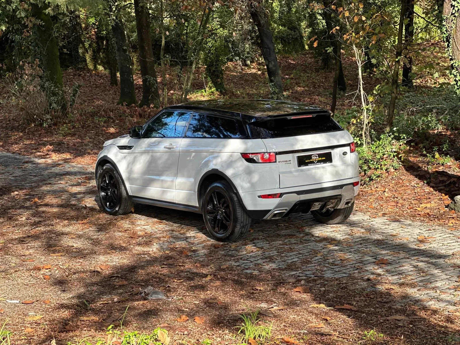 Land Rover Range Rover Evoque Coupe TD4 Aut. Dynamic 32