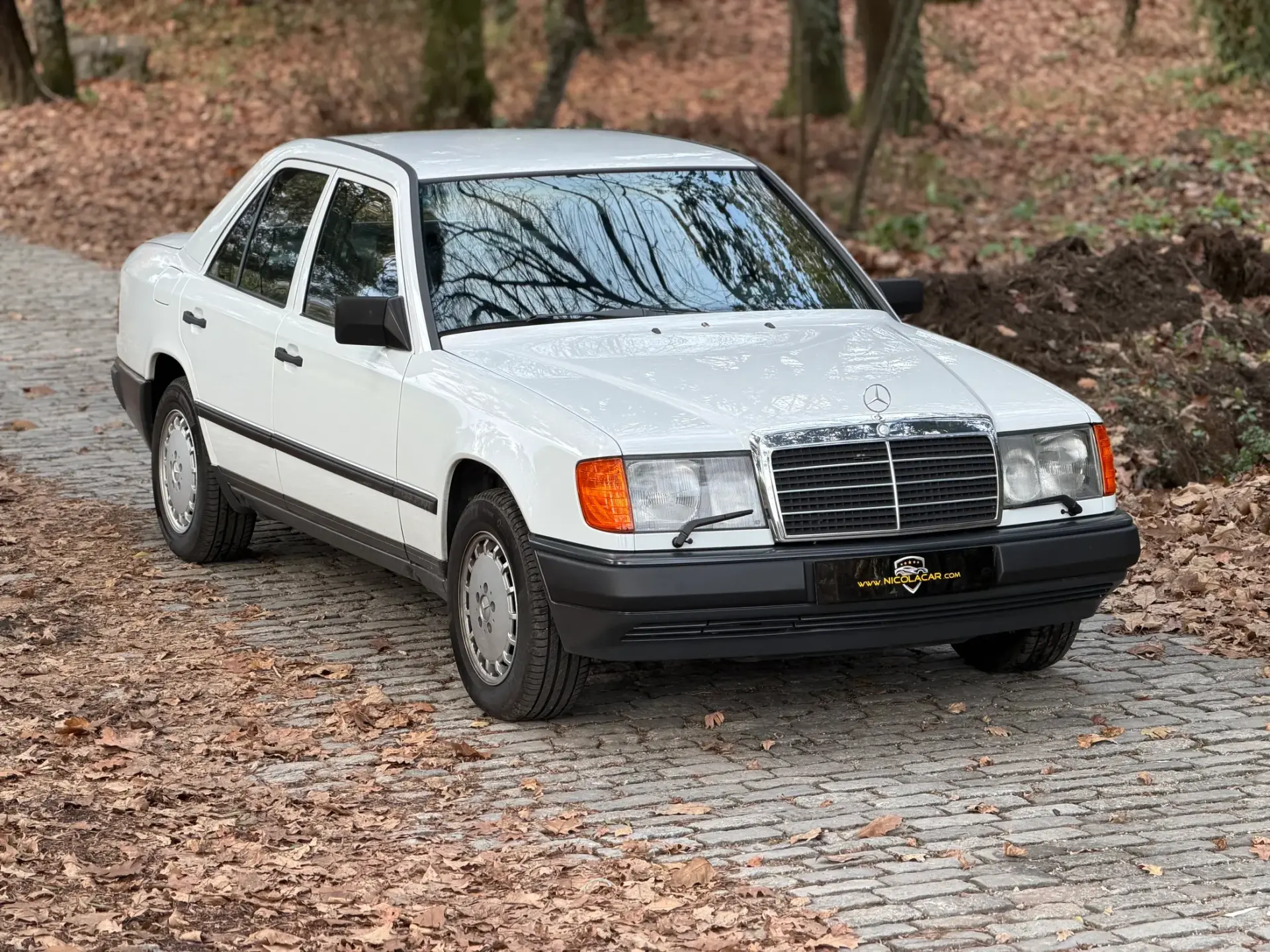 Mercedes-Benz 260 260 E 2