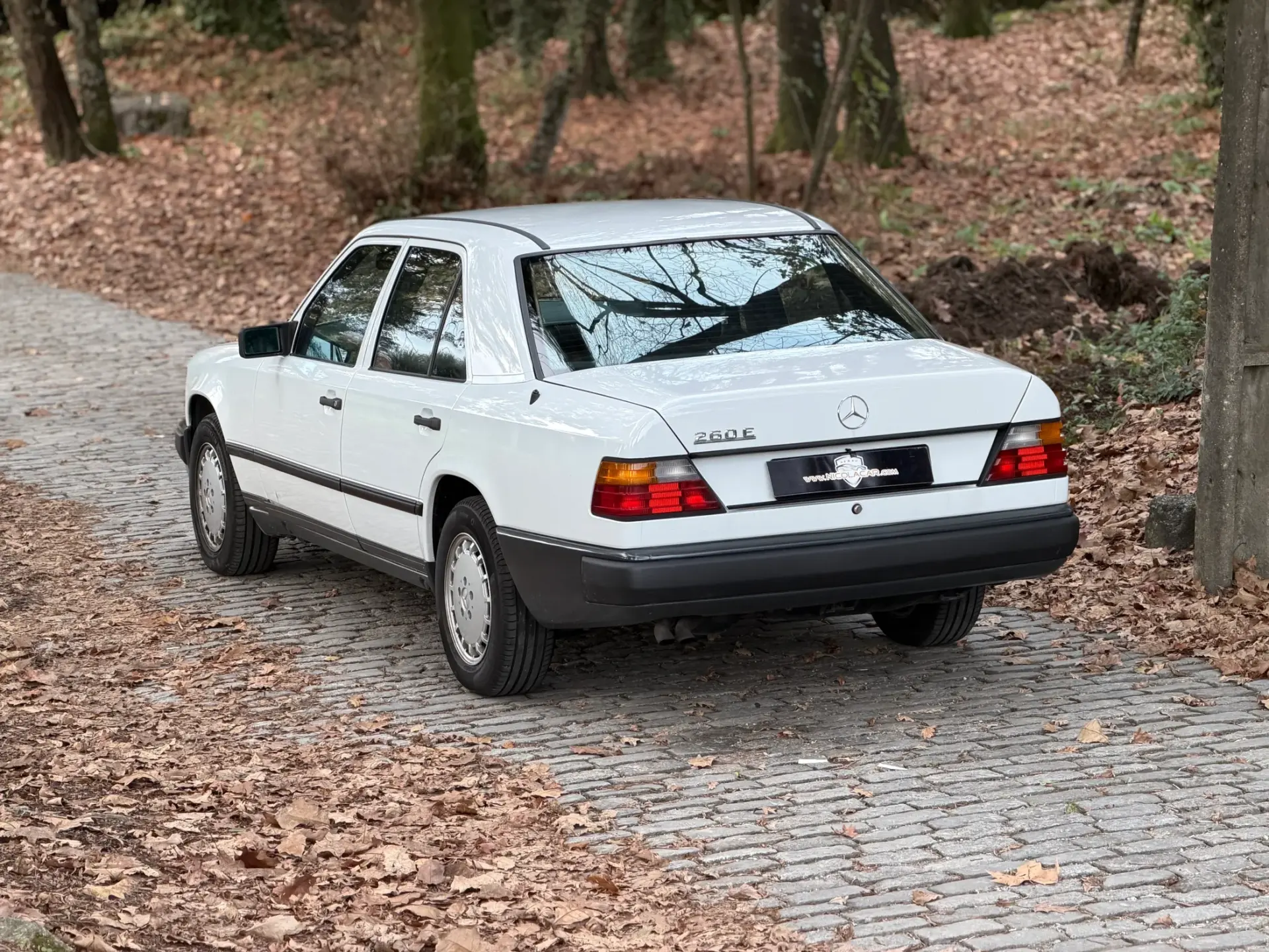 Mercedes-Benz 260 260 E 5