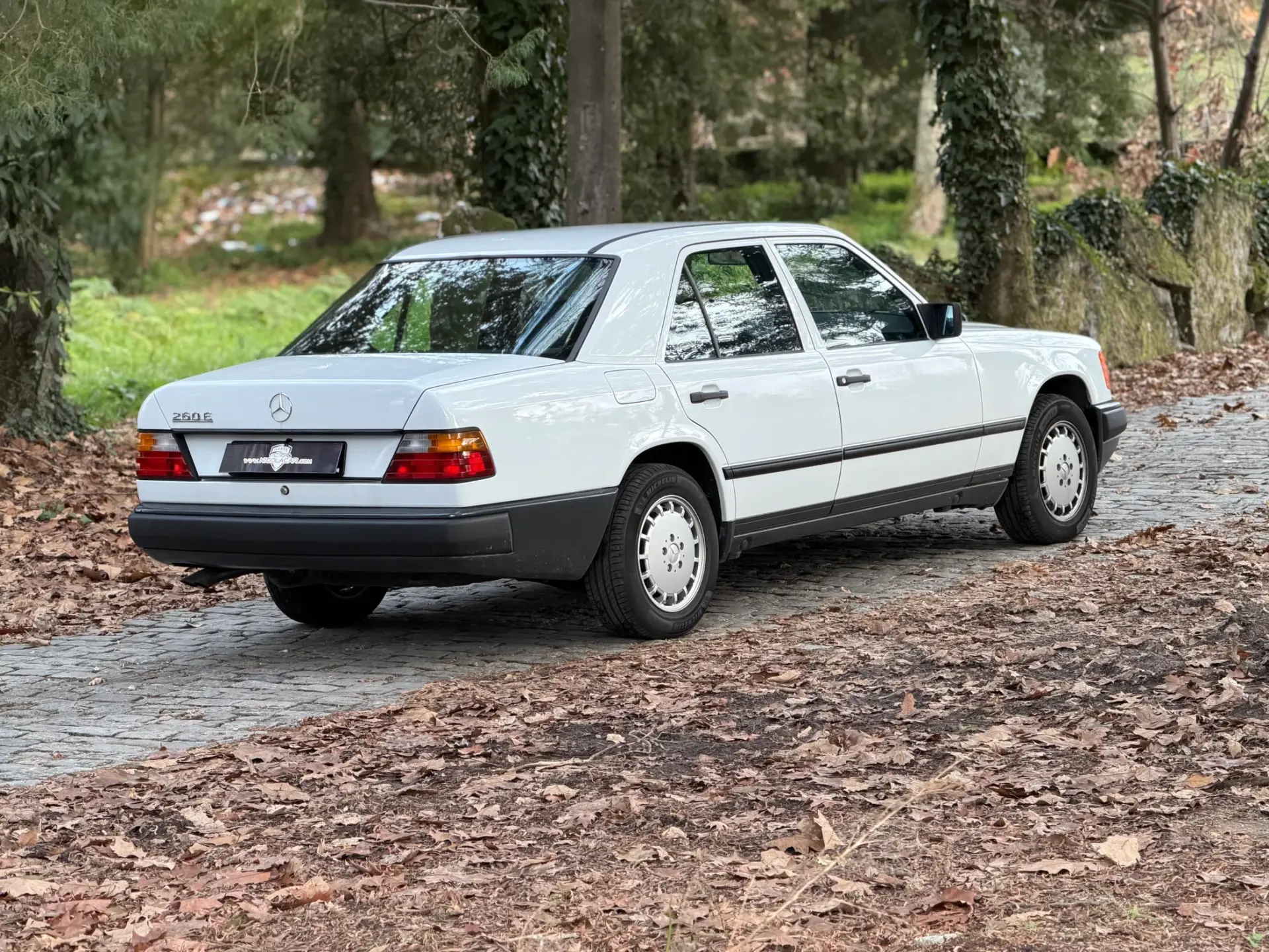 Mercedes-Benz 260 260 E 31