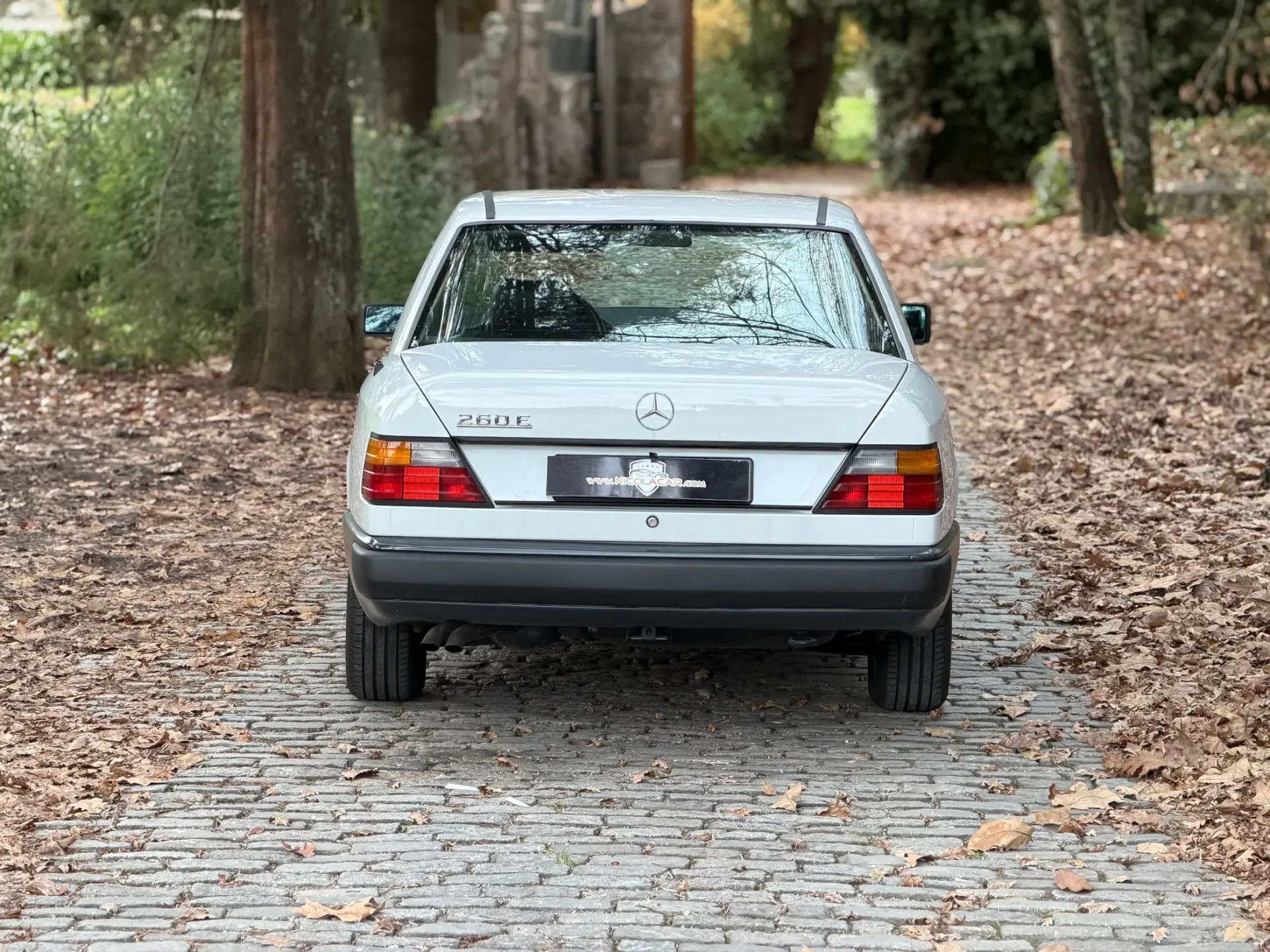 Mercedes-Benz 260 260 E 36