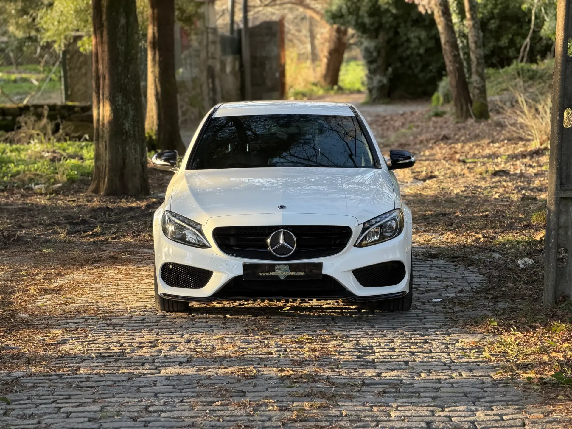 Mercedes-Benz C 180 (BlueTEC) d Station AMG Line 2