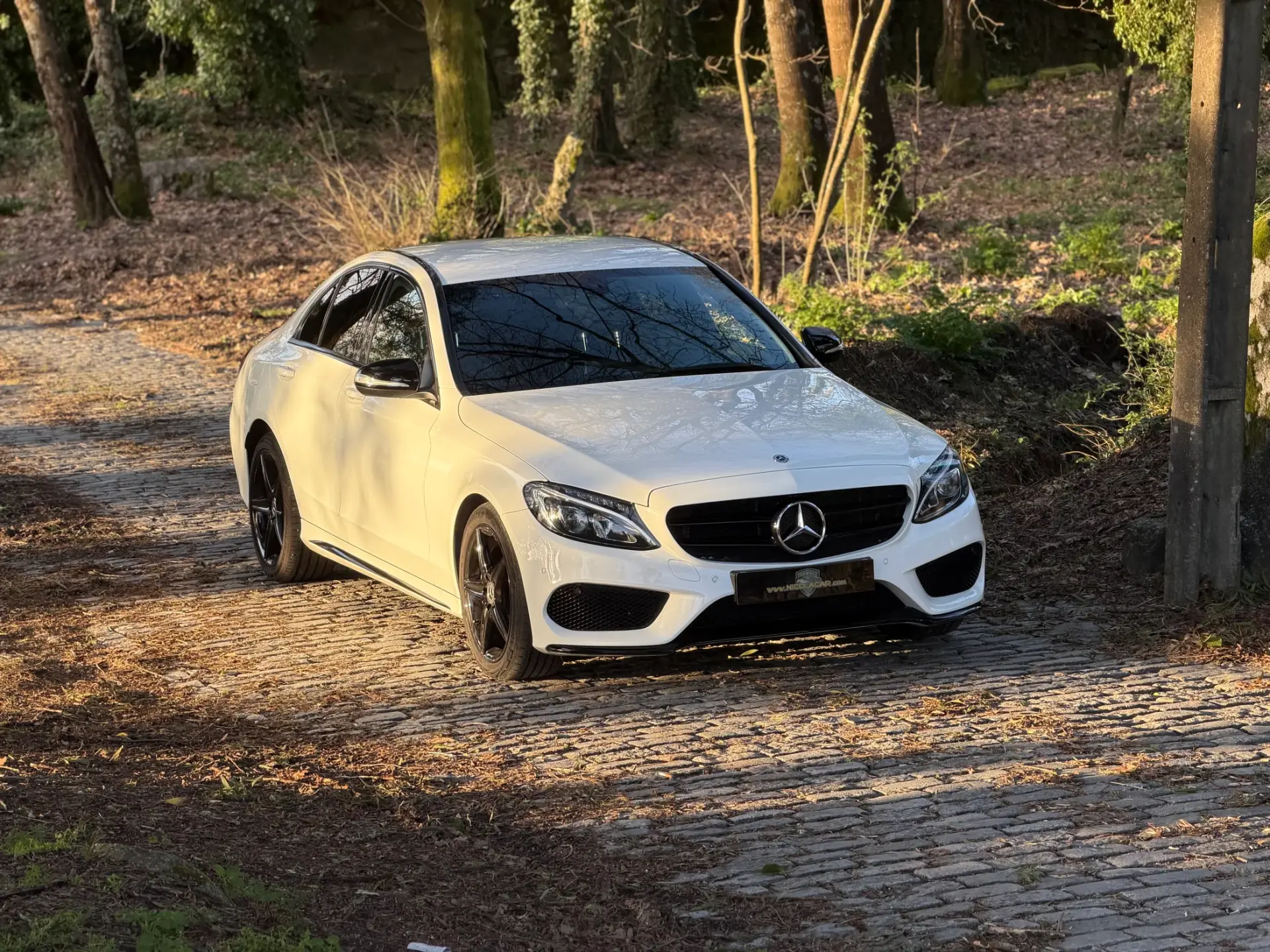 Mercedes-Benz C 180 (BlueTEC) d Station AMG Line 38