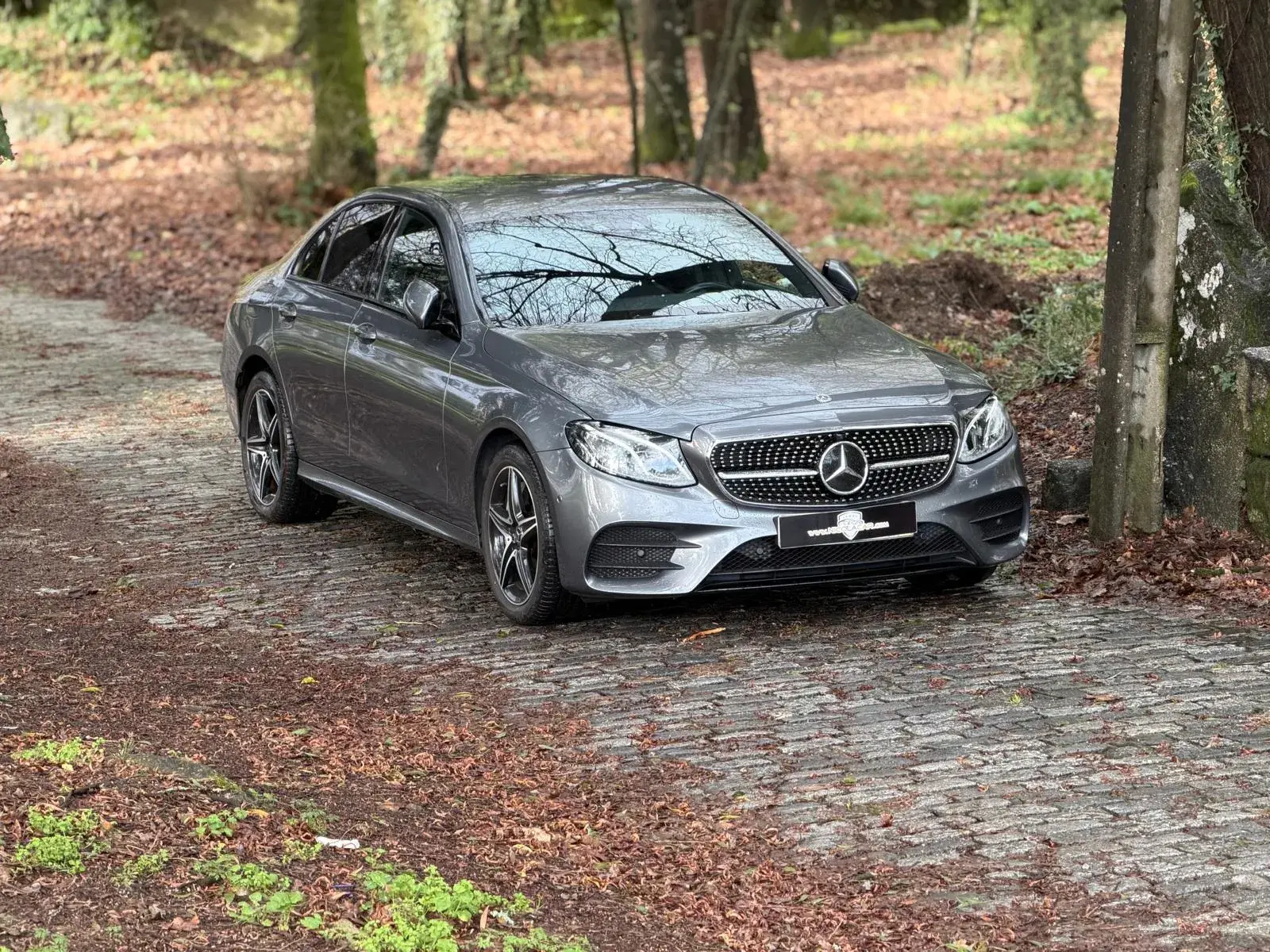 Mercedes-Benz E 300 de AMG Line 20