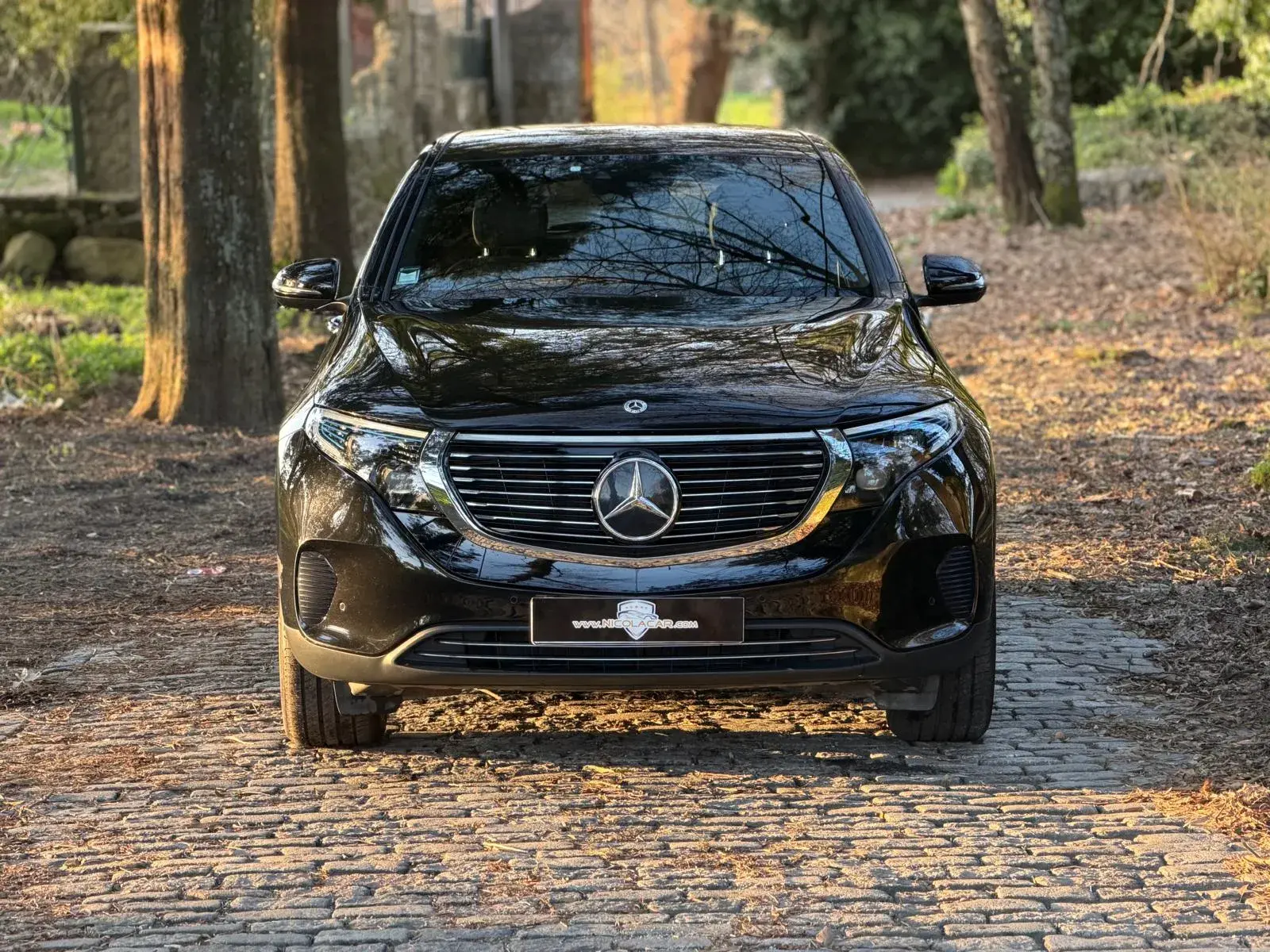 Mercedes-Benz EQC 400 4Matic 2