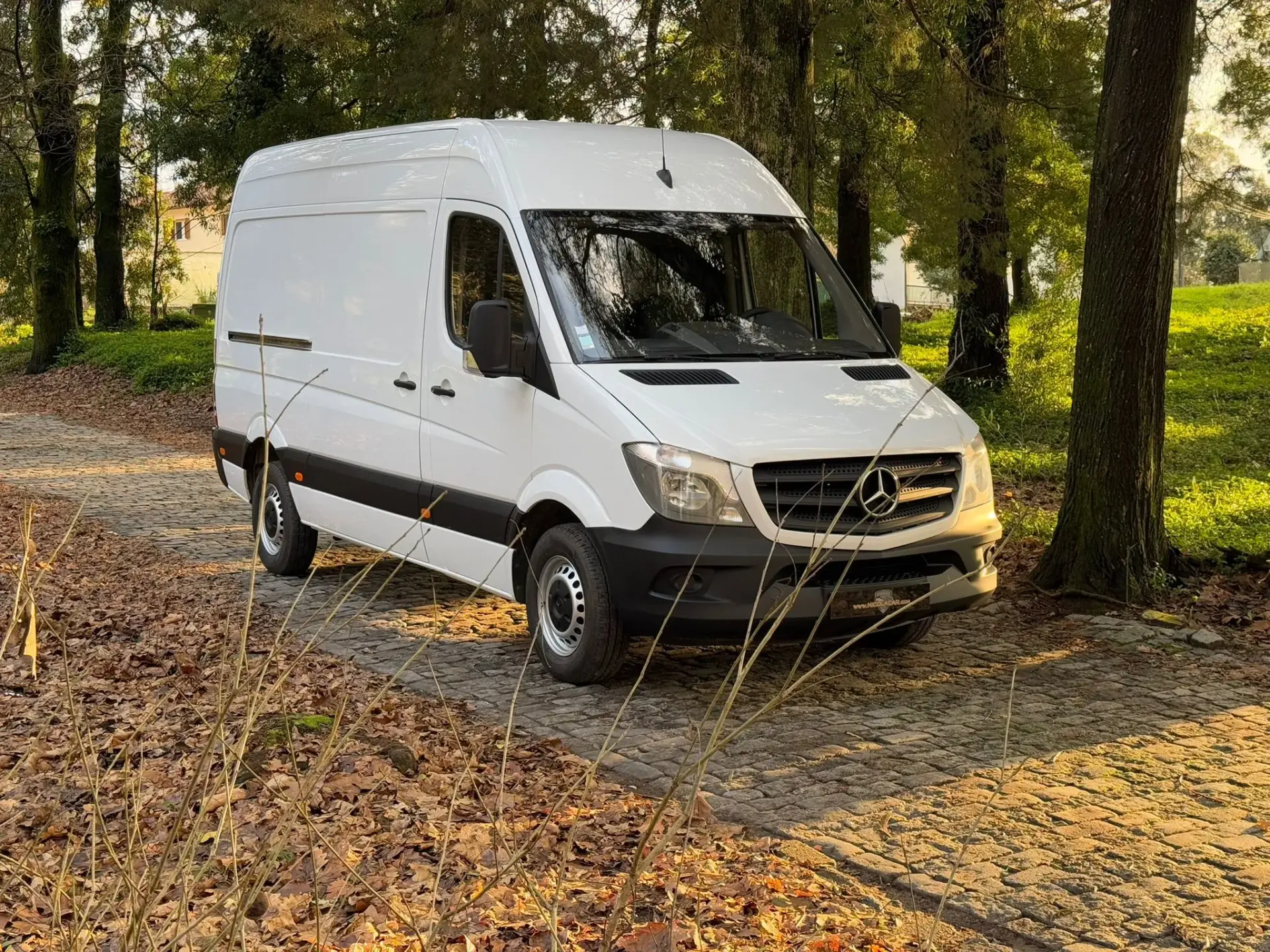 Mercedes-Benz Sprinter 310 CDI/37 CD 12