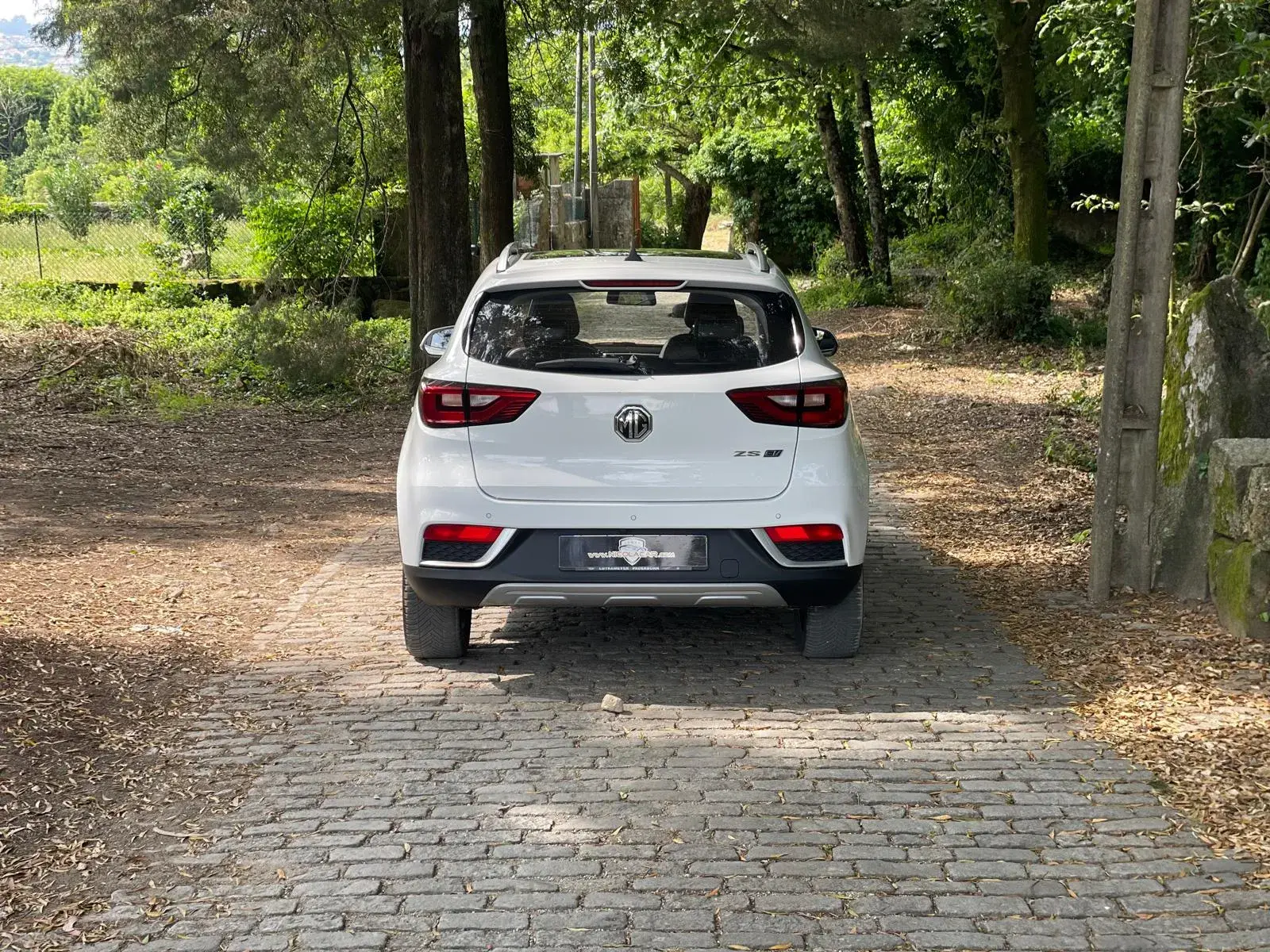 MG ZS Maximal Luxury 5