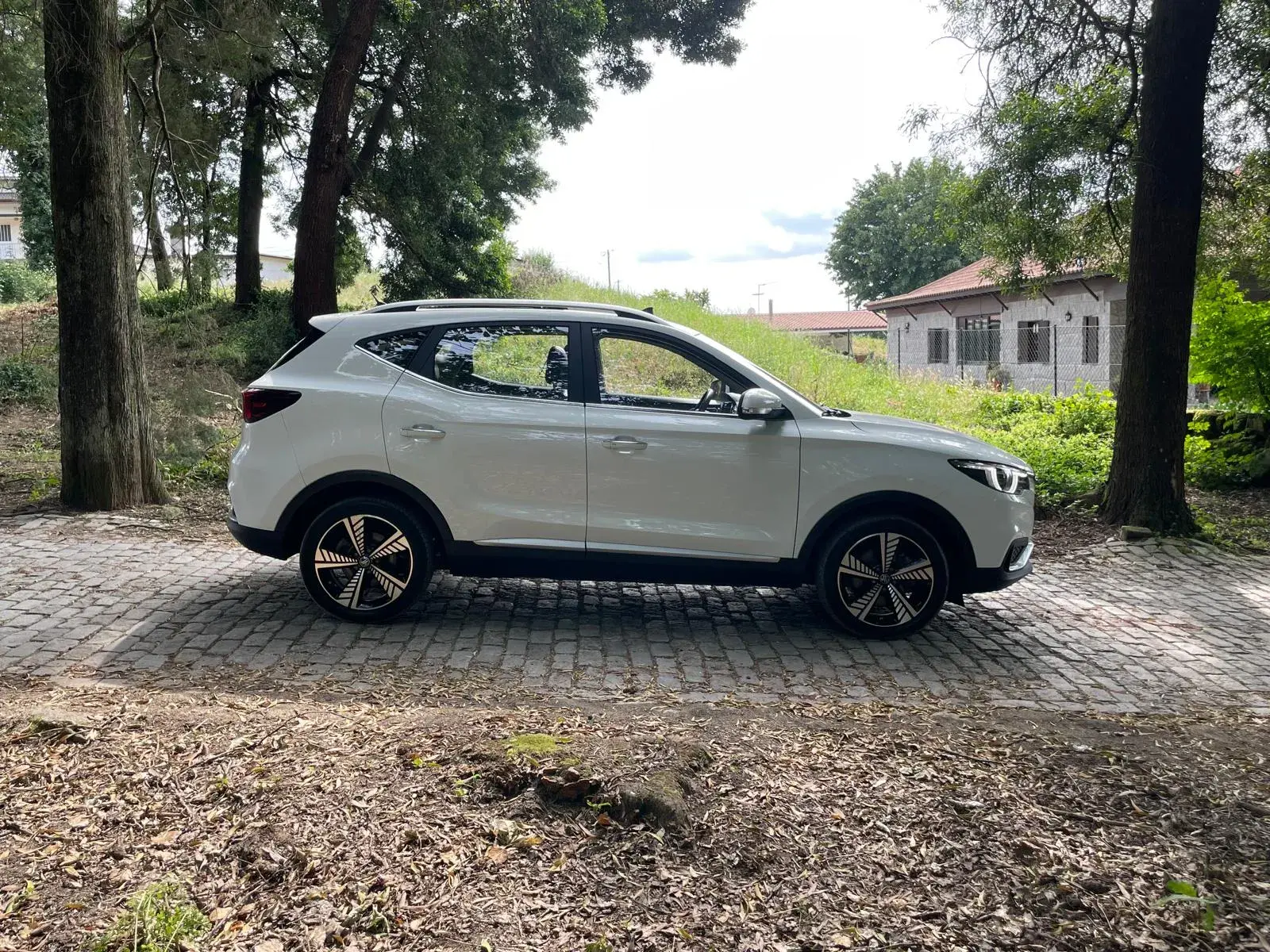 MG ZS Maximal Luxury 7