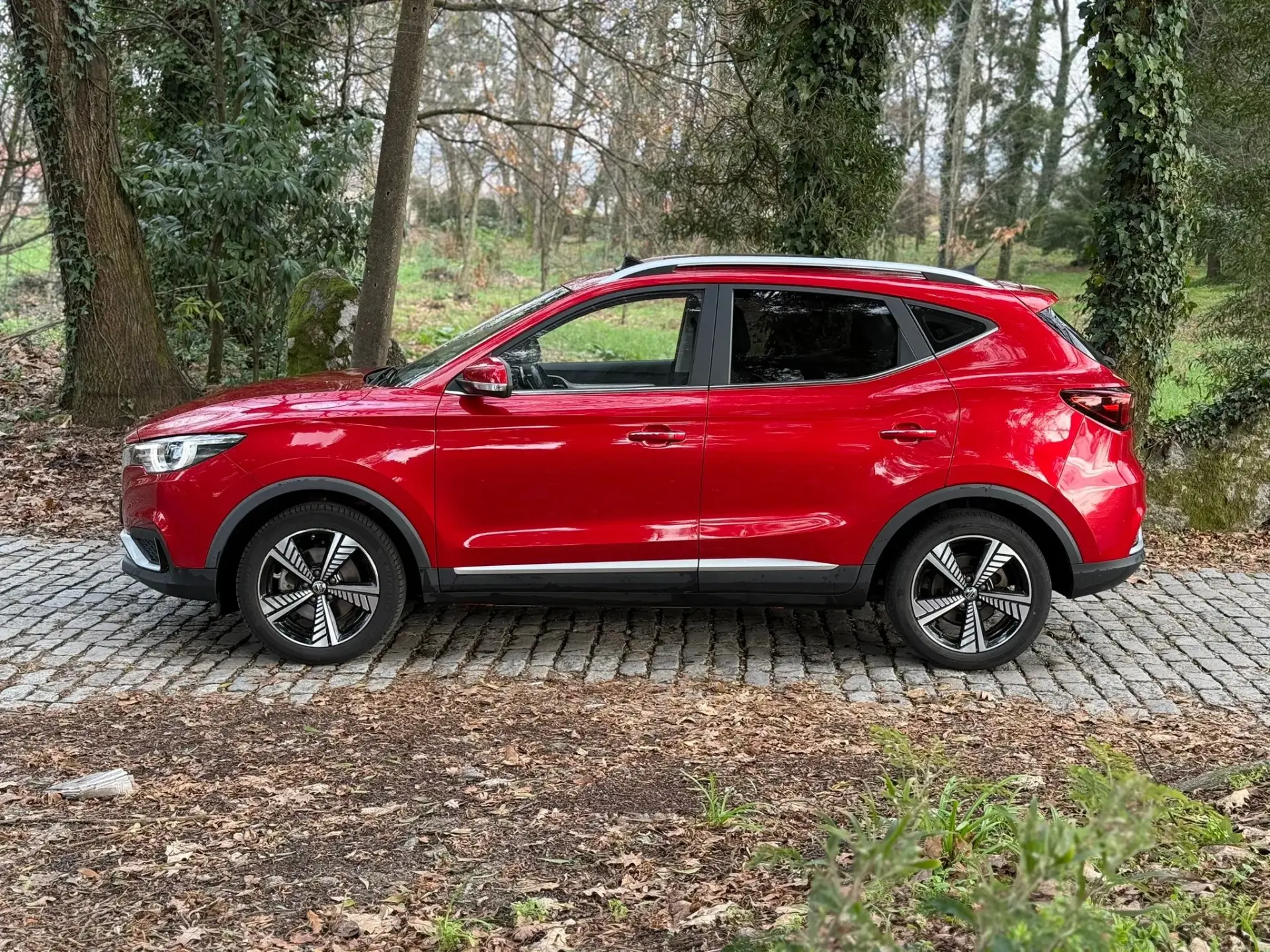 MG ZS Maximal Luxury 9