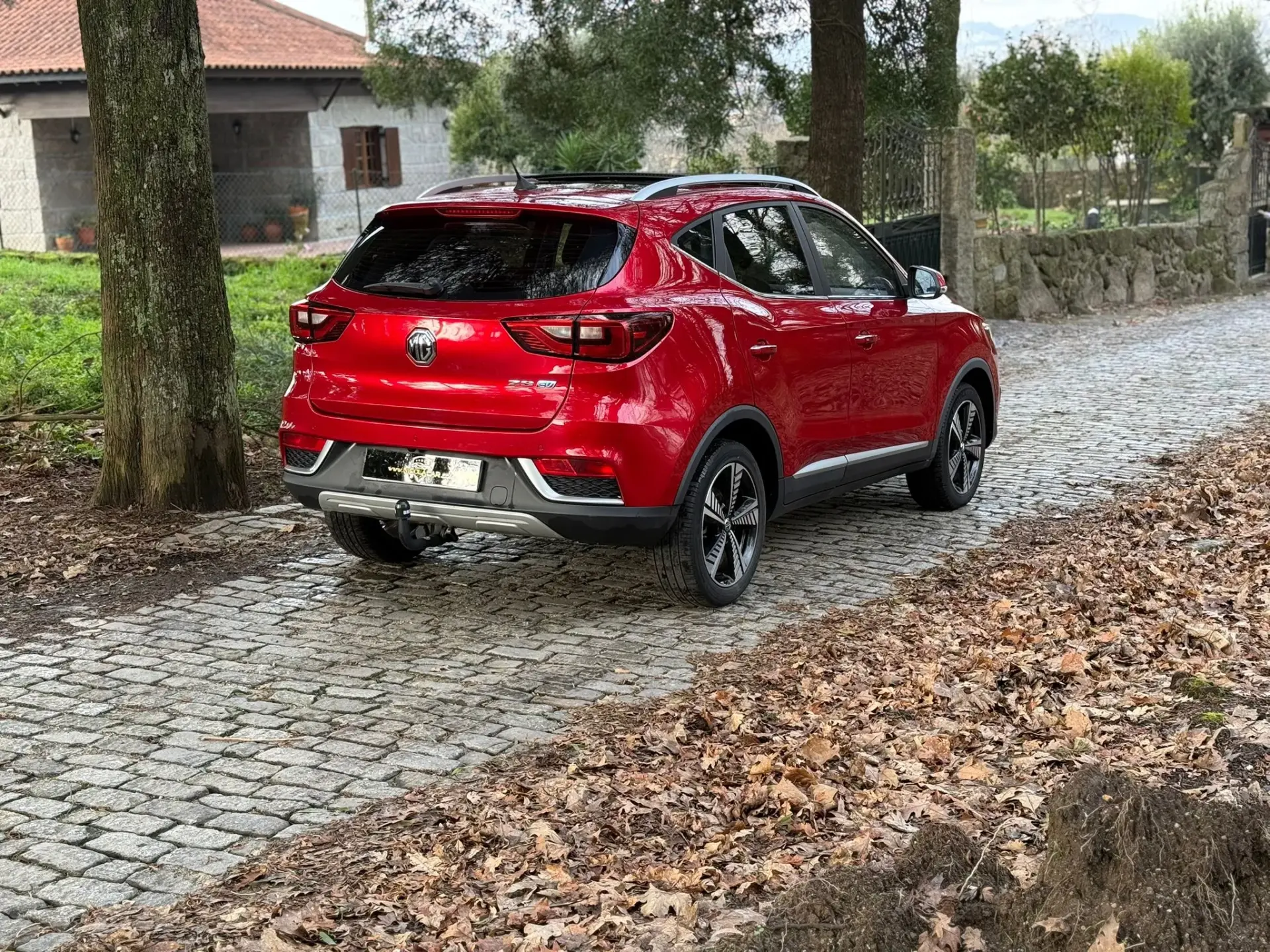 MG ZS Maximal Luxury 7