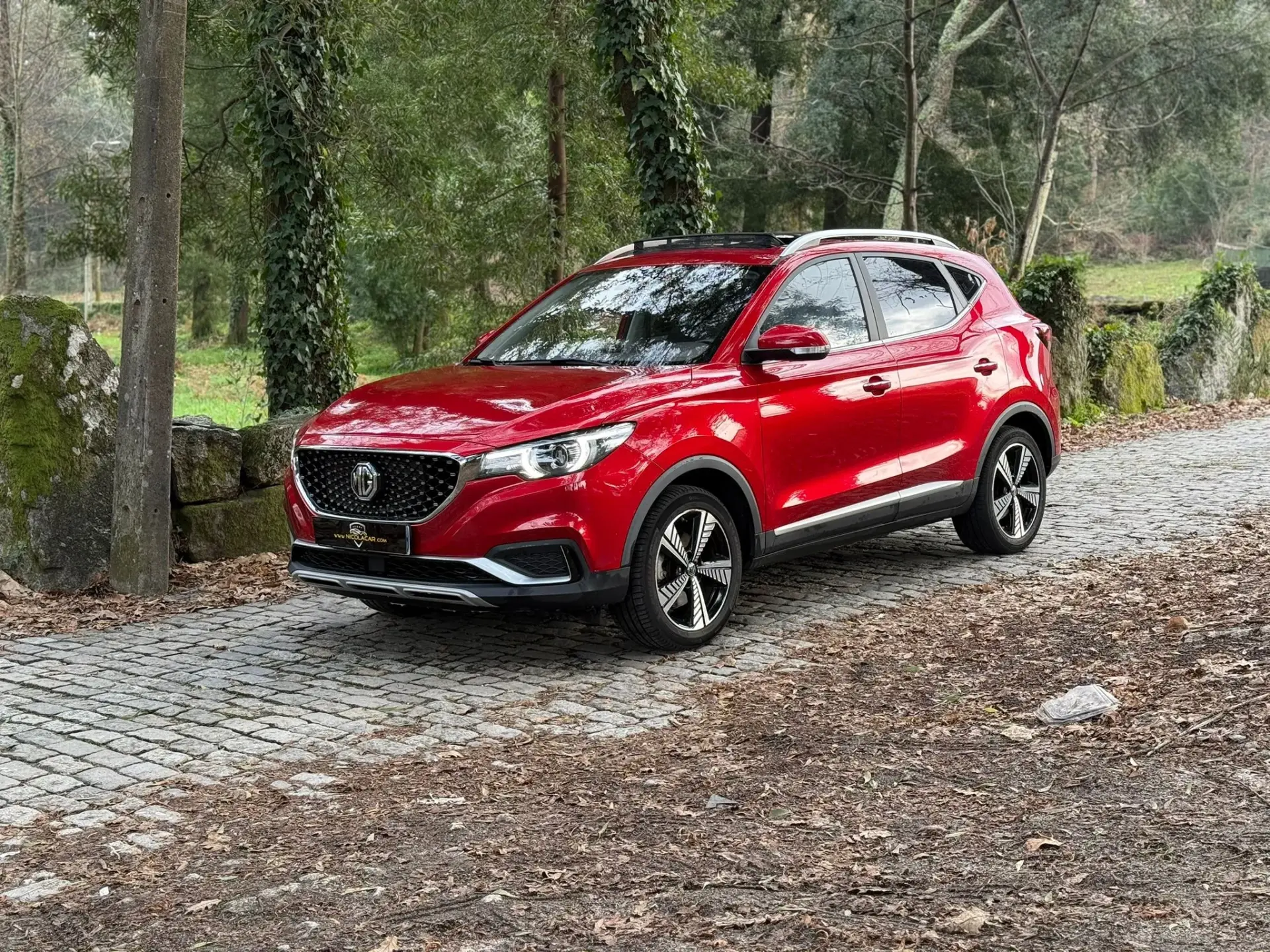 MG ZS Maximal Luxury 27