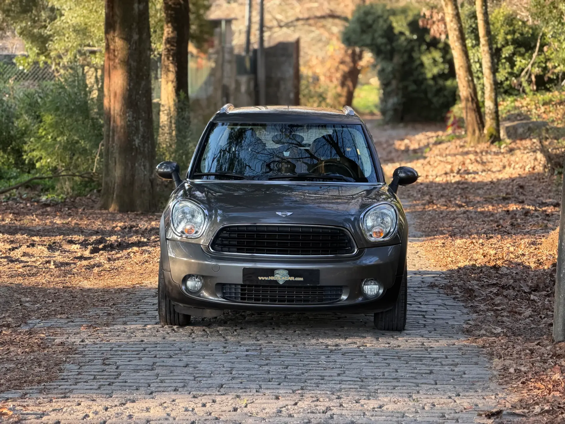MINI Countryman One D 3