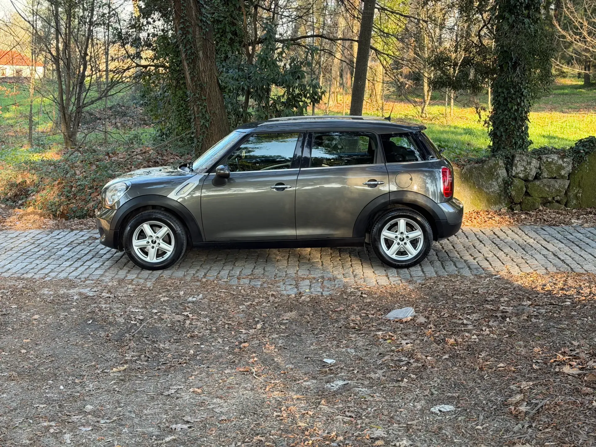 MINI Countryman One D 9
