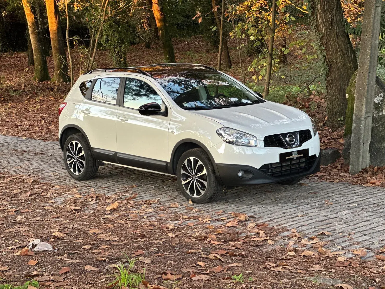 Nissan Qashqai 1.5 dCi Tekna 2