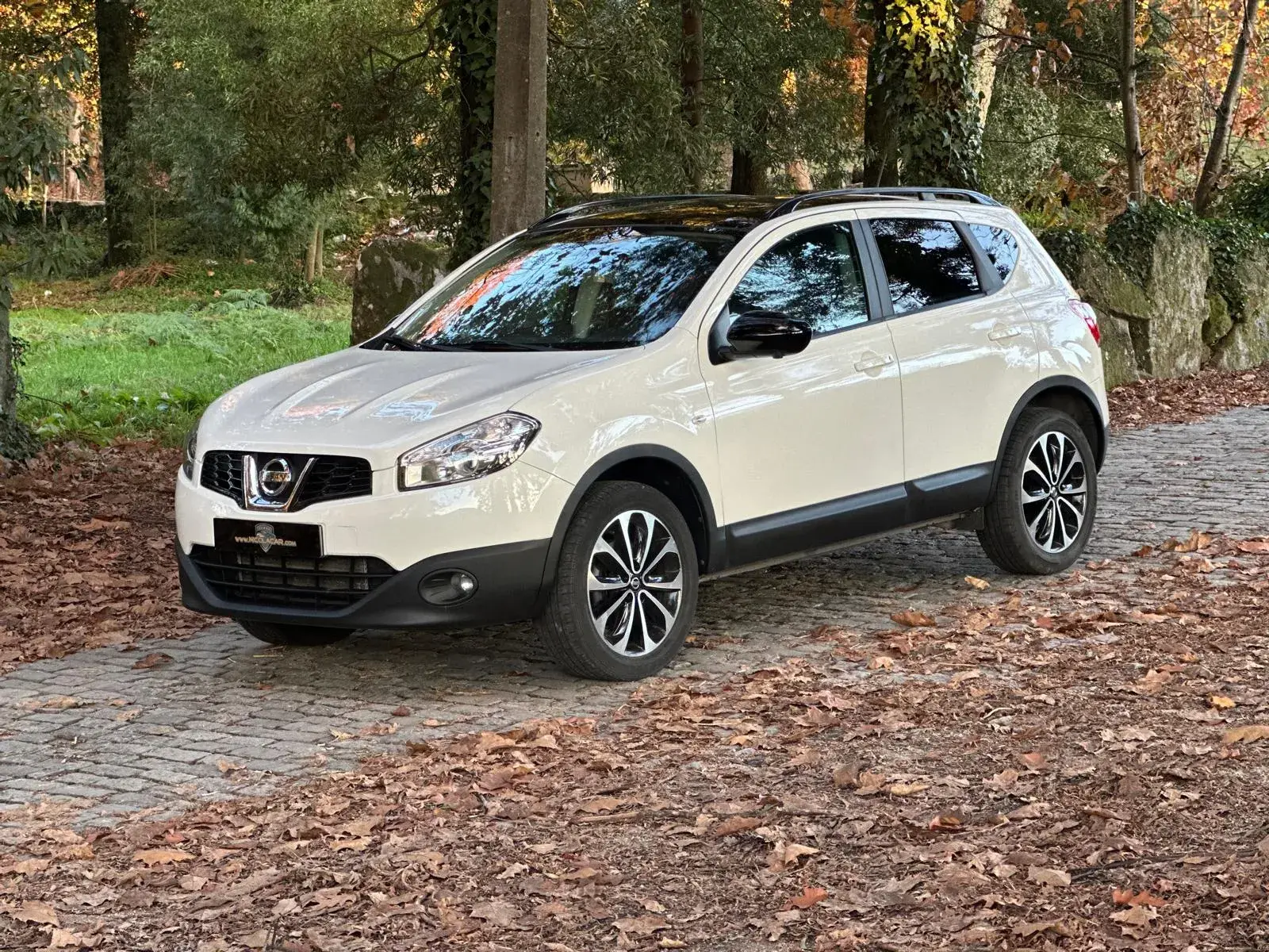 Nissan Qashqai 1.5 dCi Tekna 4