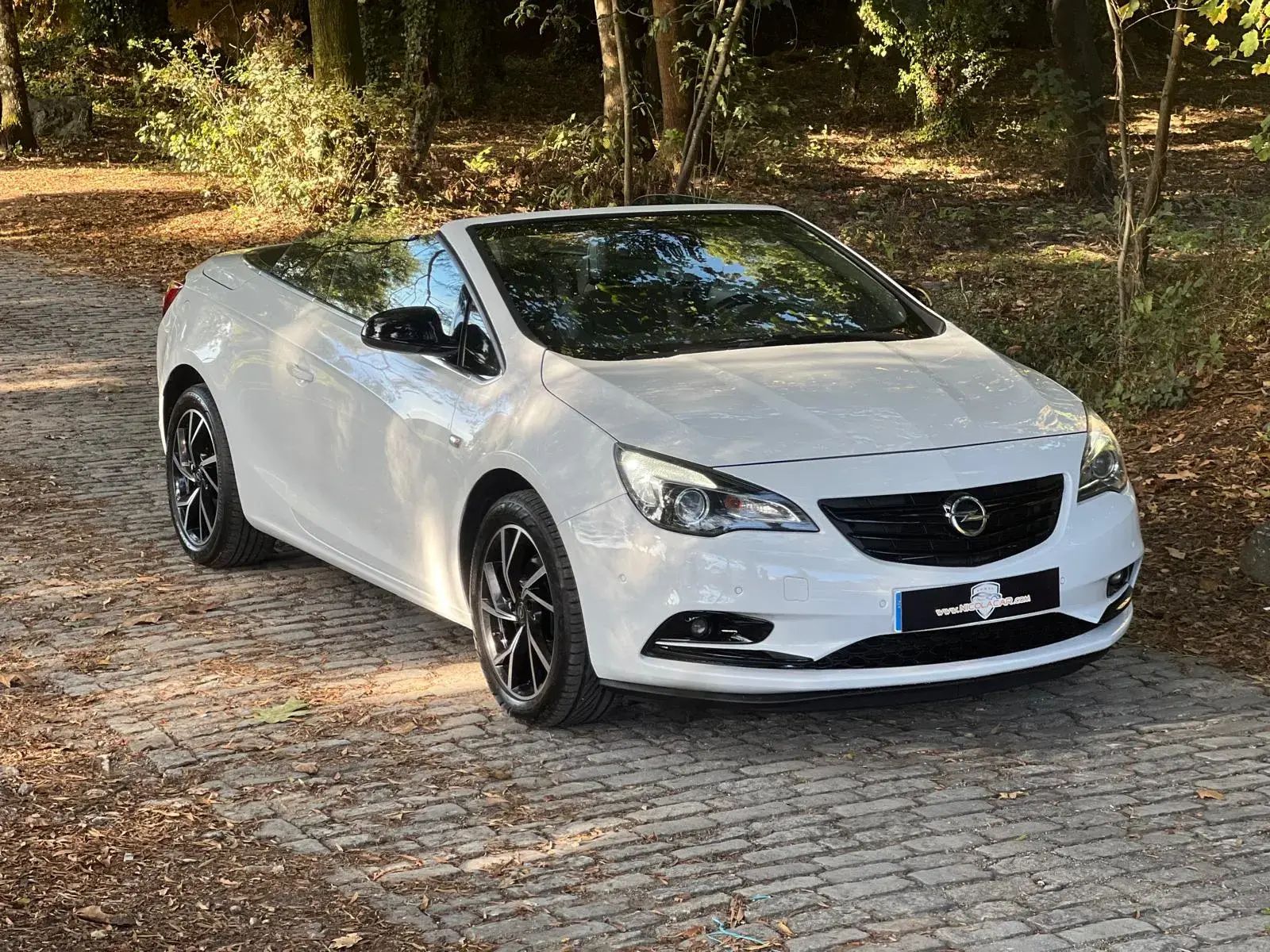 Opel Cascada 2.0 D (CDTi ecoFLEX) S&S Edition 2