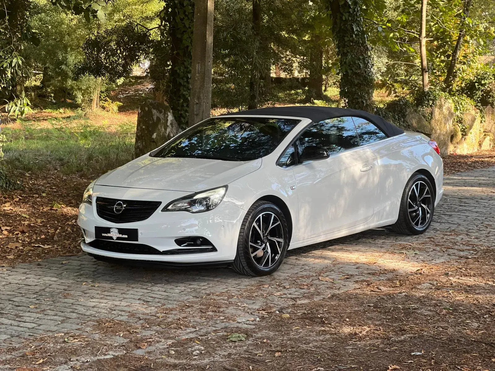 Opel Cascada 2.0 D (CDTi ecoFLEX) S&S Edition 21