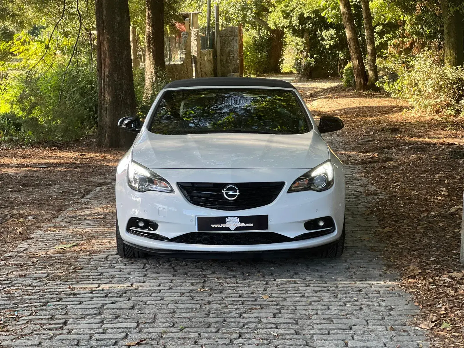 Opel Cascada 2.0 D (CDTi ecoFLEX) S&S Edition 33