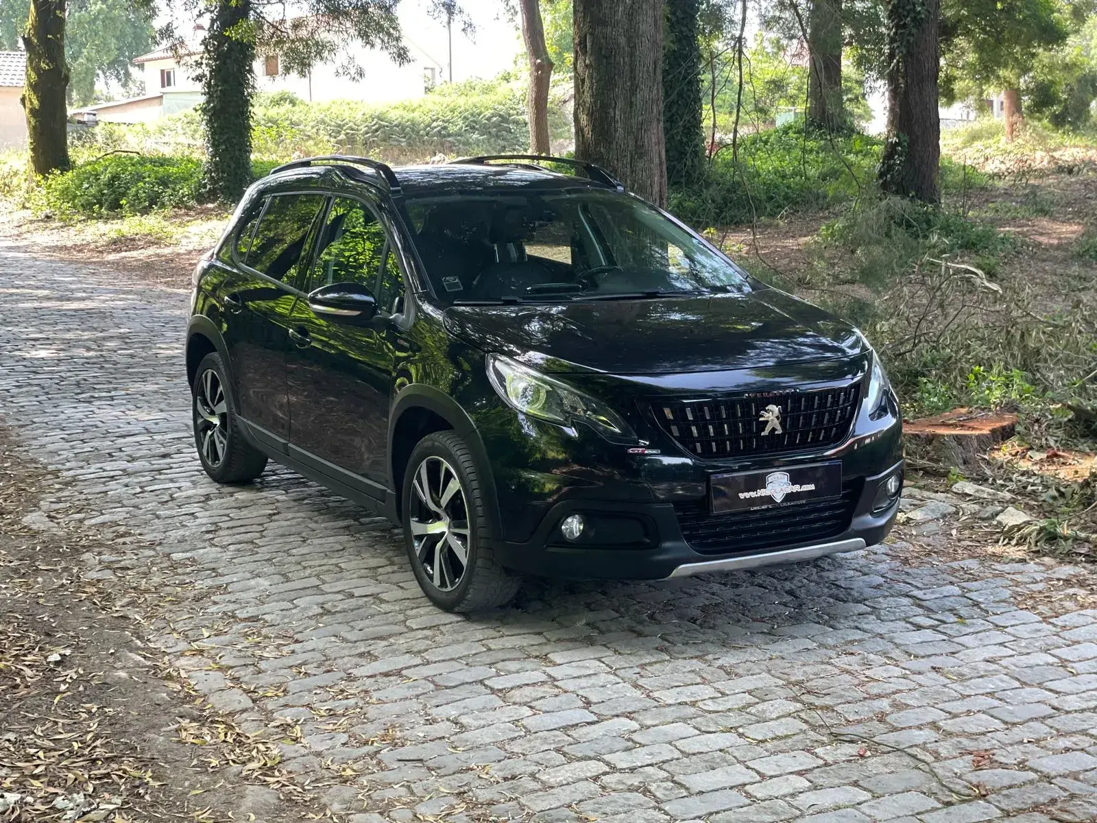 Peugeot 2008 1.2 PureTech GT Line 2