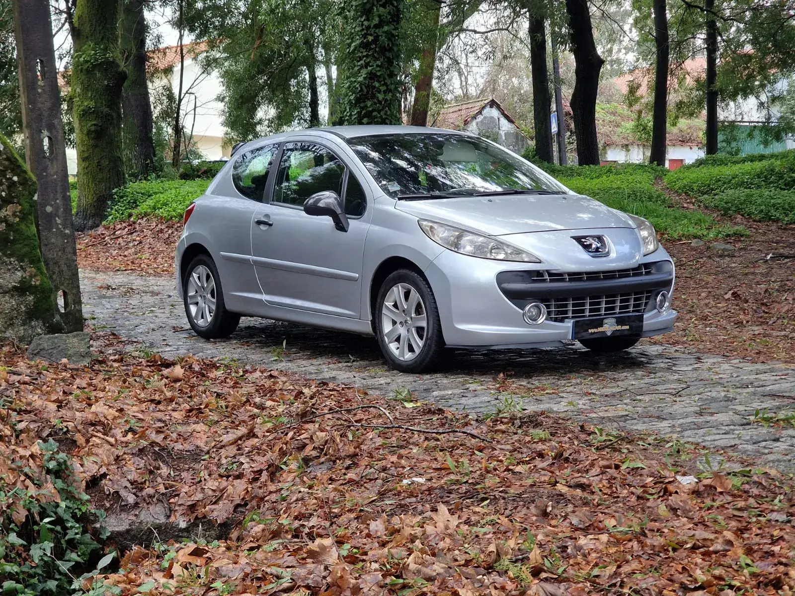 Peugeot 207 1.6 HDi Sport 2