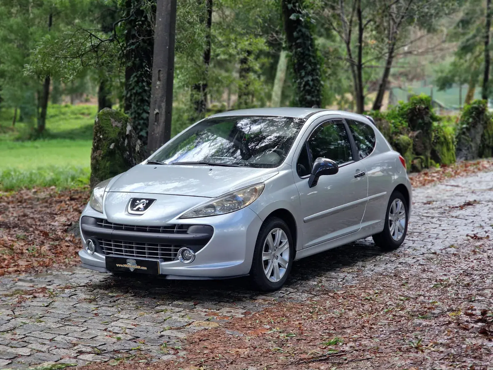 Peugeot 207 1.6 HDi Sport 4