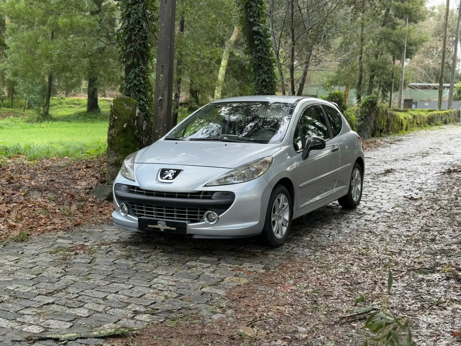 Peugeot 207 1.6 HDi Sport 20