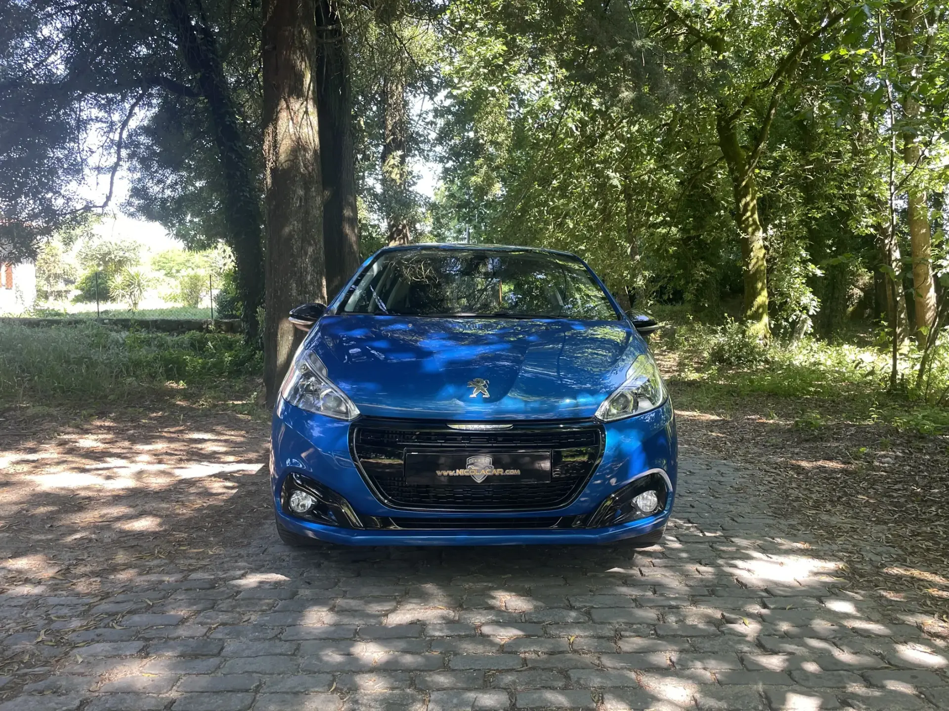 Peugeot 208 1.6 BlueHDi Allure 3