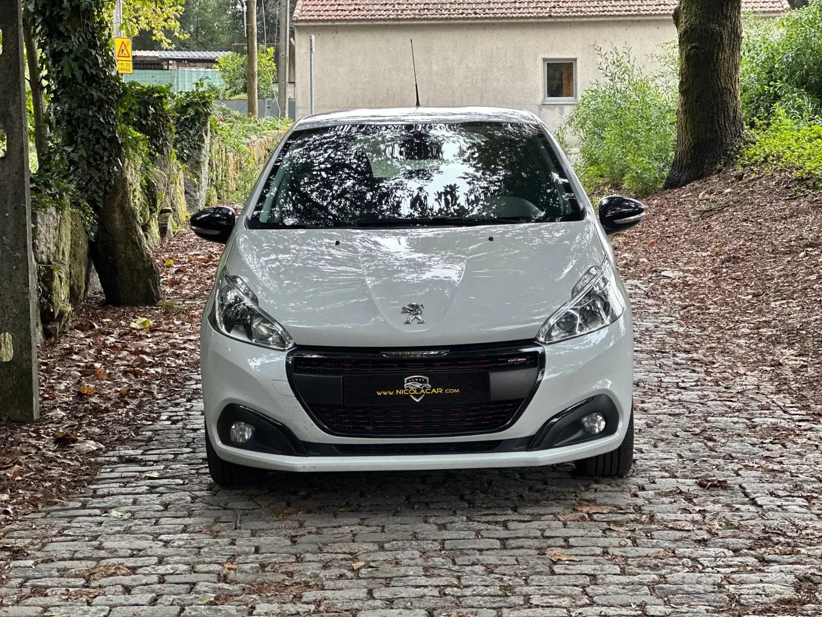 Peugeot 208 1.2 PureTech GT Line 28